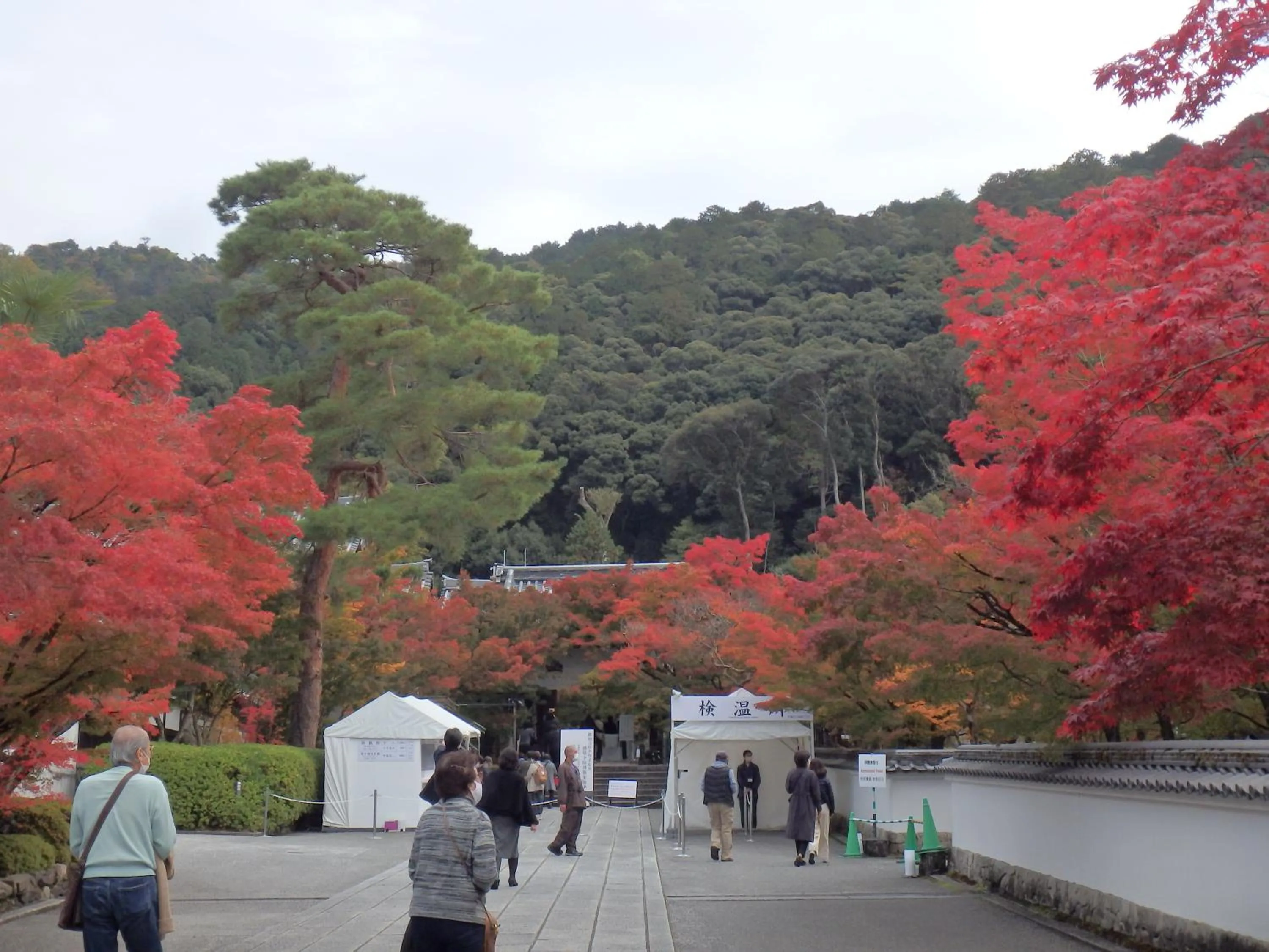 Autumn in Kyo No Yado Nishioji inn