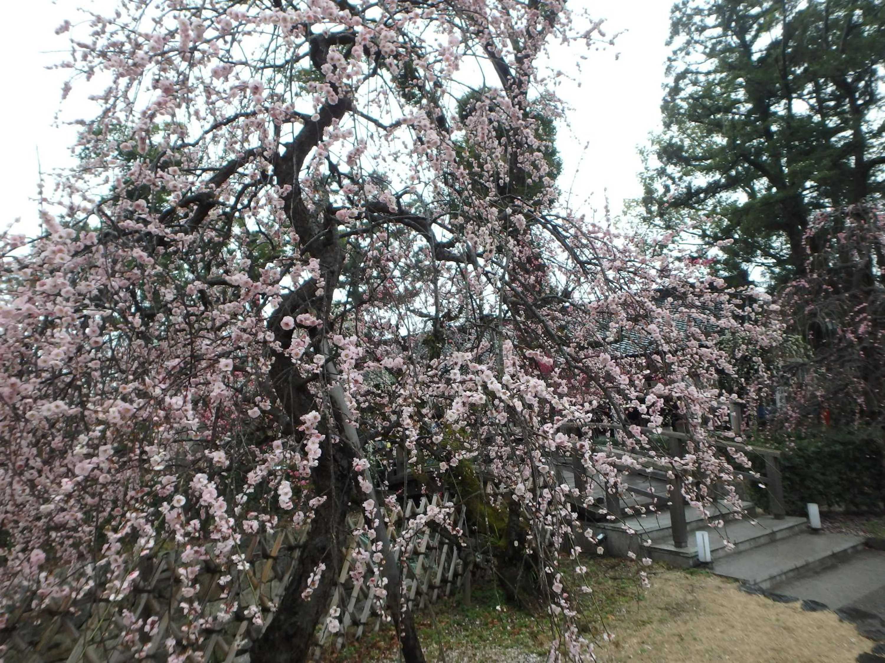 Nearby landmark in Kyo No Yado Nishioji inn