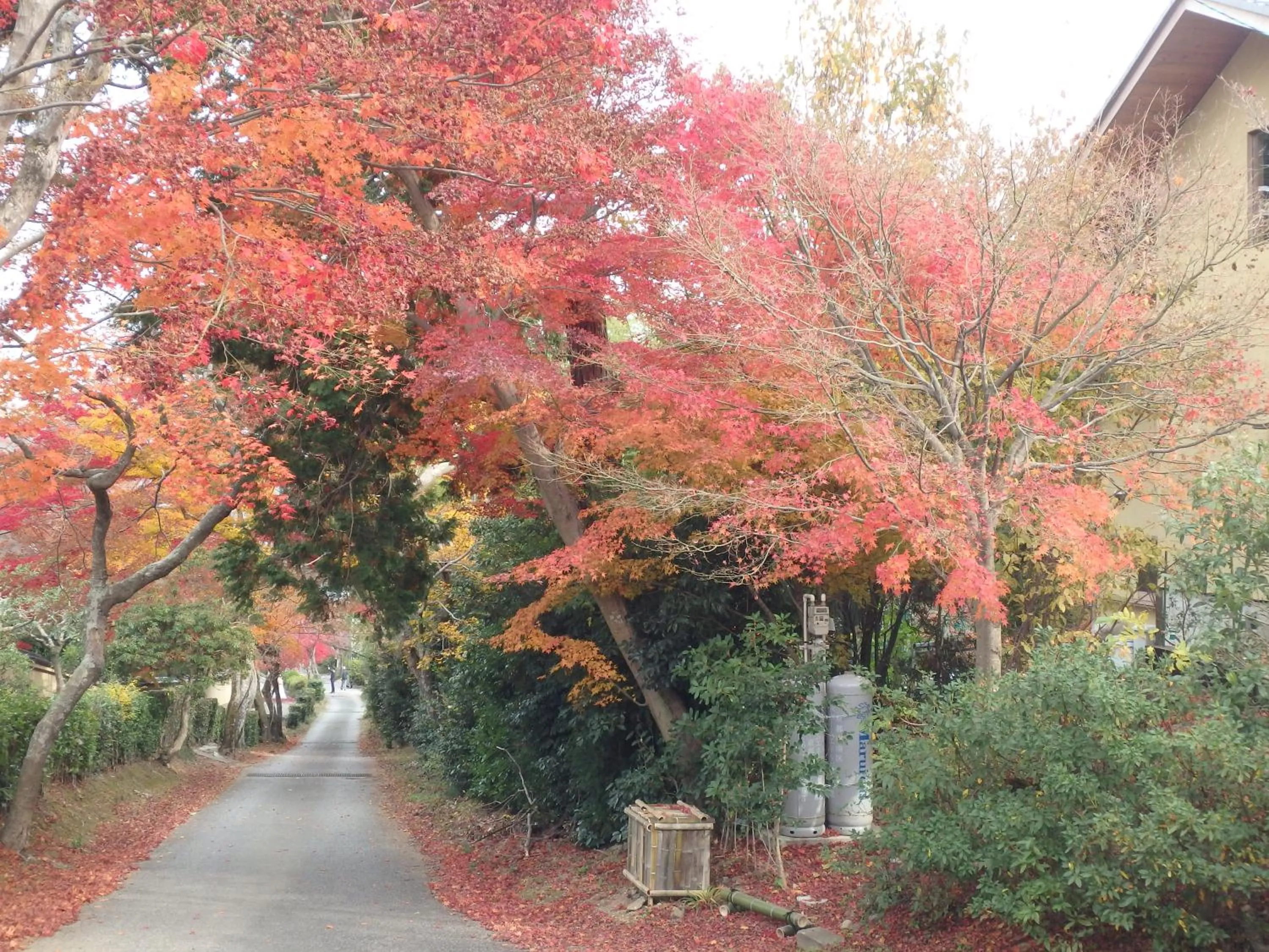 Autumn in Kyo No Yado Nishioji inn