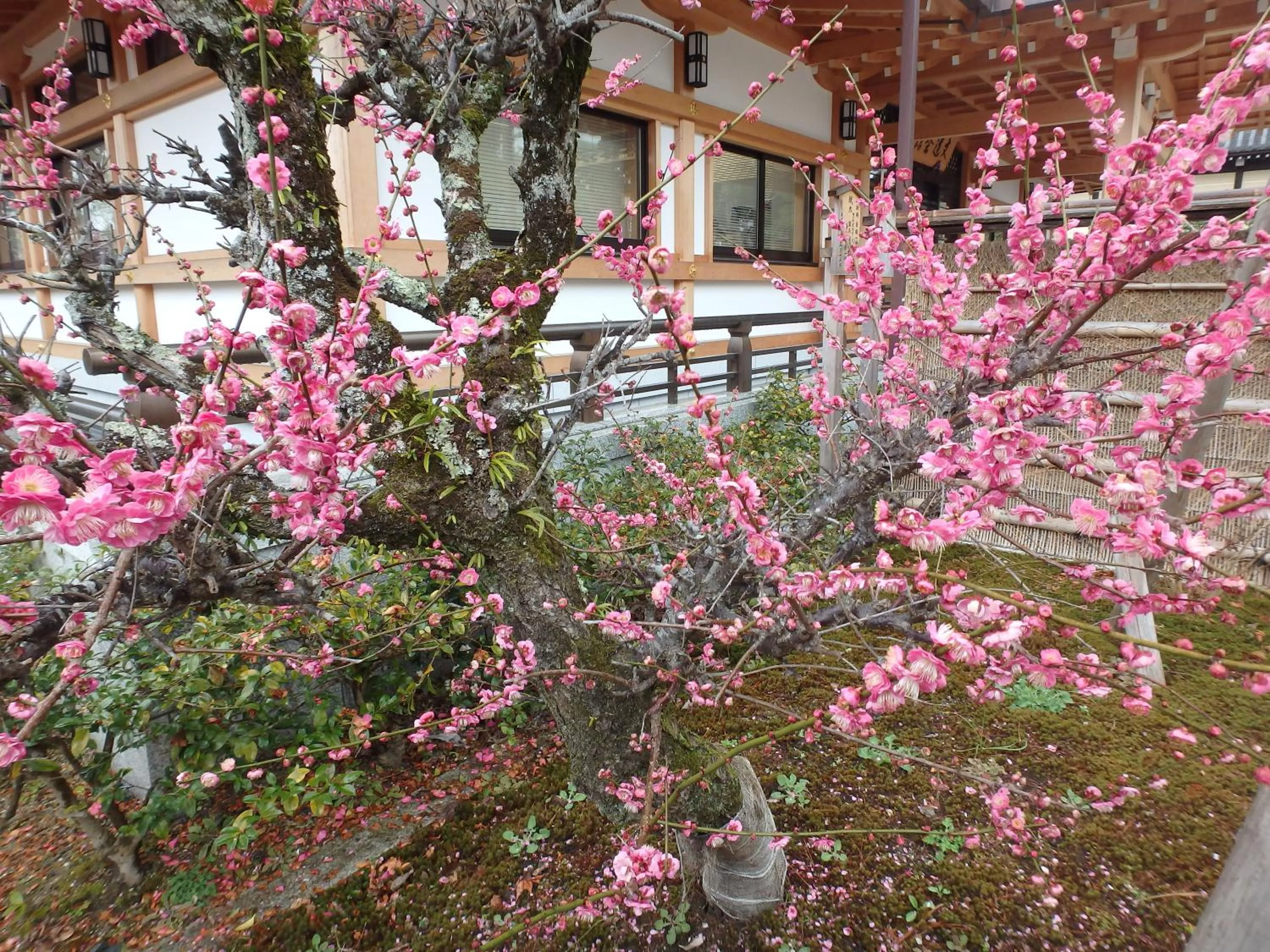 Nearby landmark in Kyo No Yado Nishioji inn