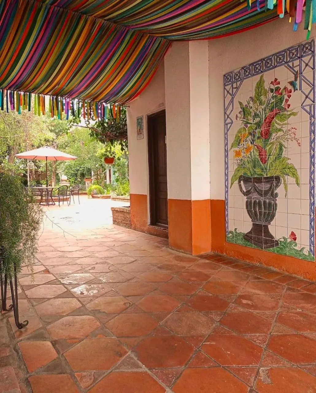Balcony/Terrace in Hotel Olimpia Centro Histórico