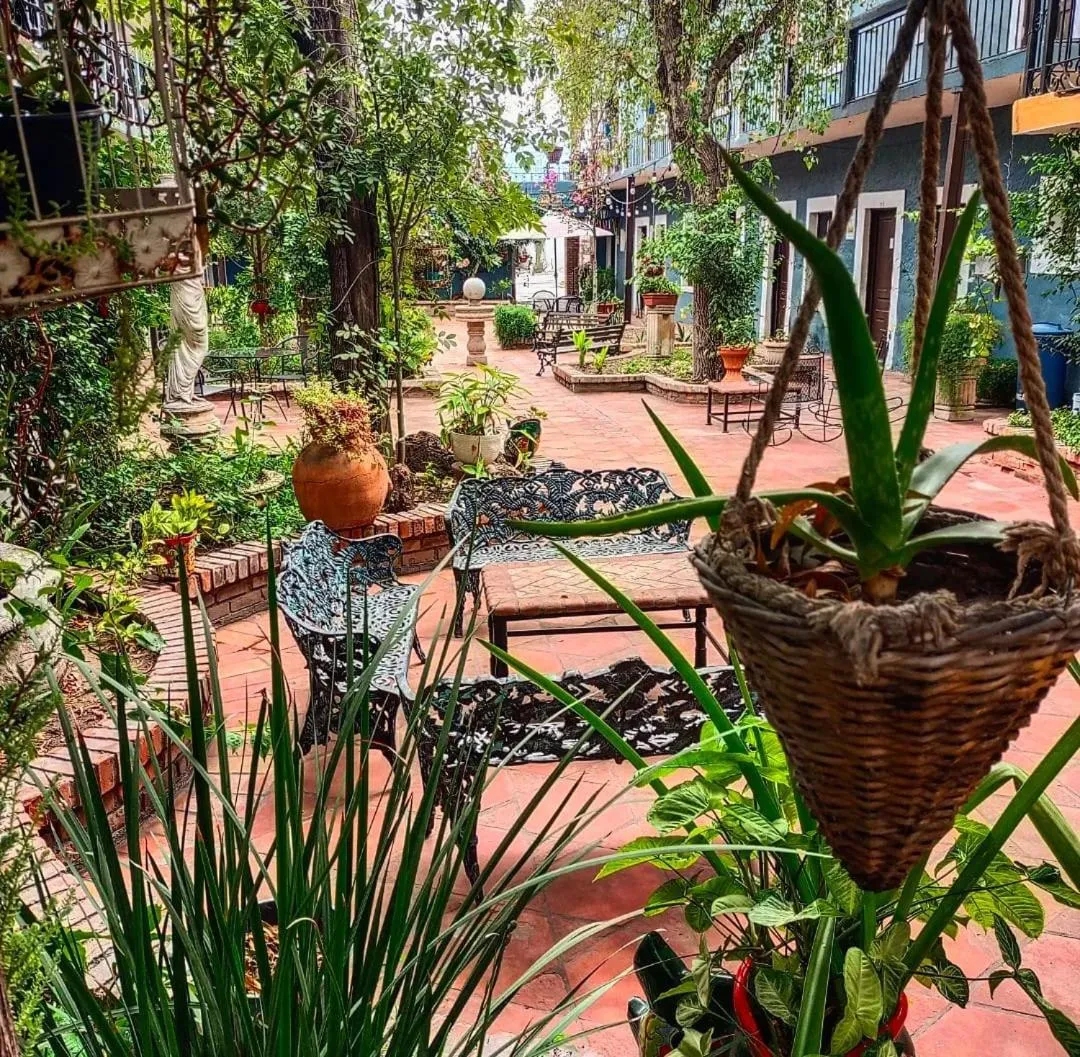 Garden in Hotel Olimpia Centro Histórico