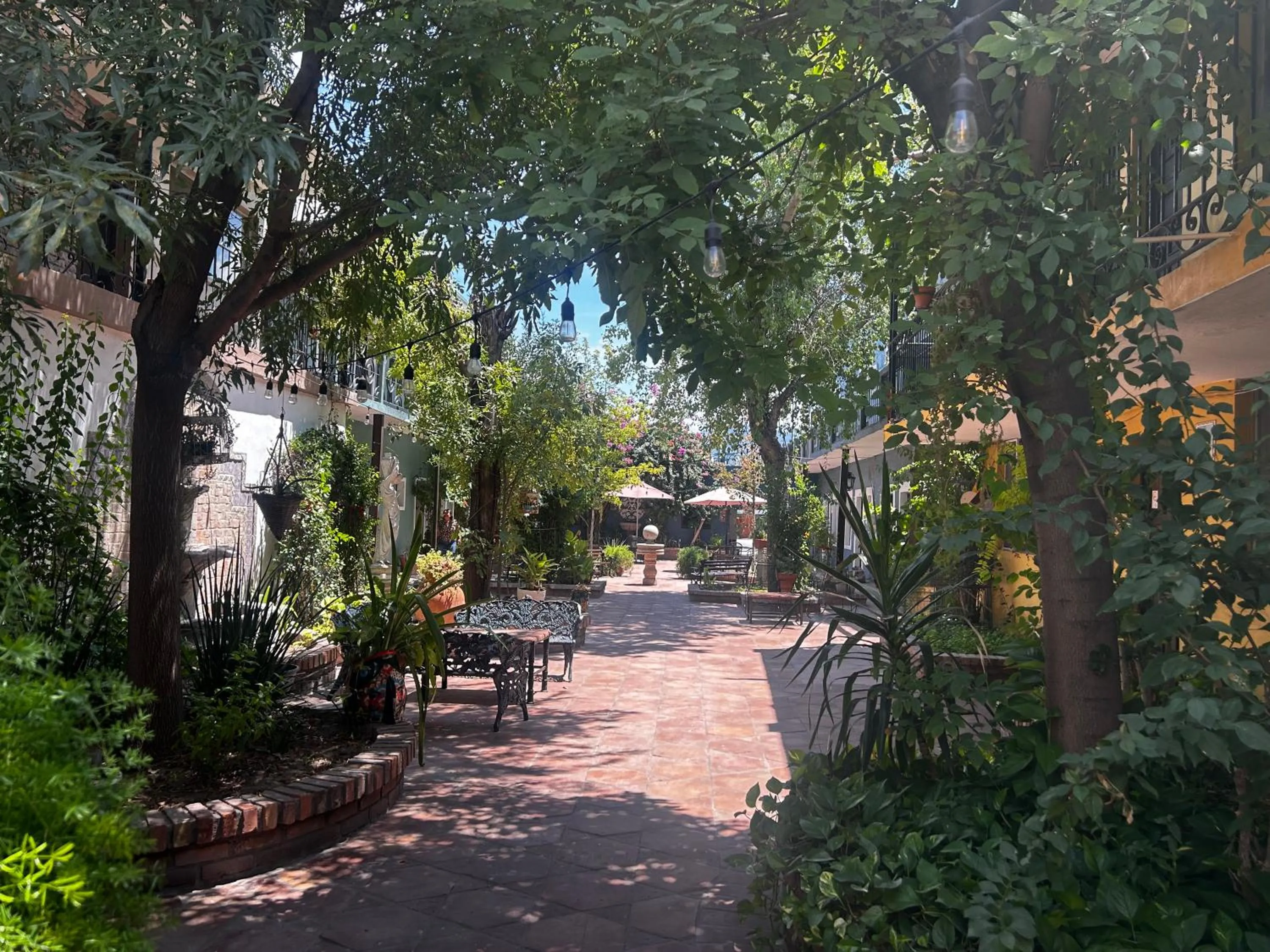 Property building in Hotel Olimpia Centro Histórico