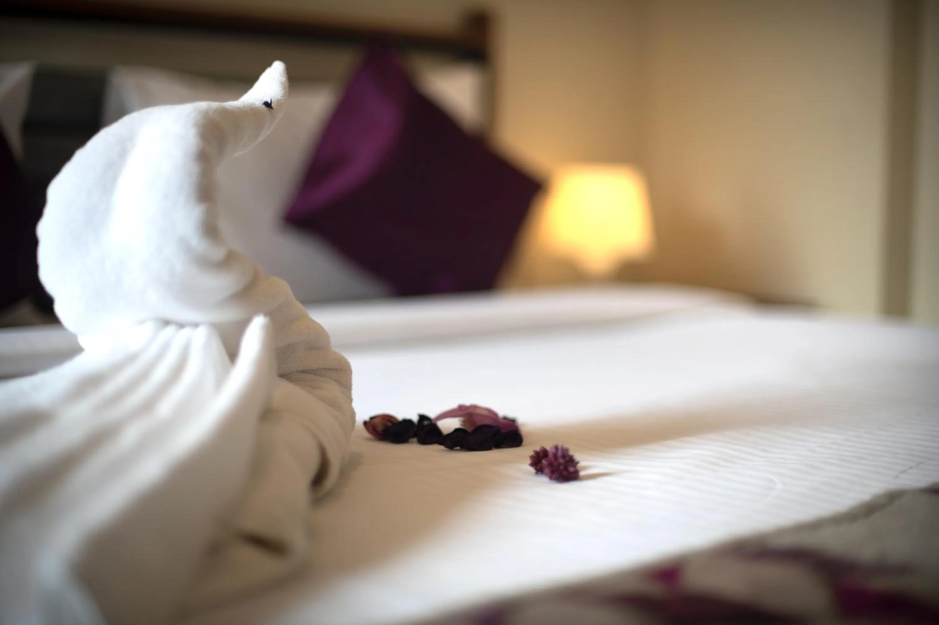 Bed in Purple Cloud Urban