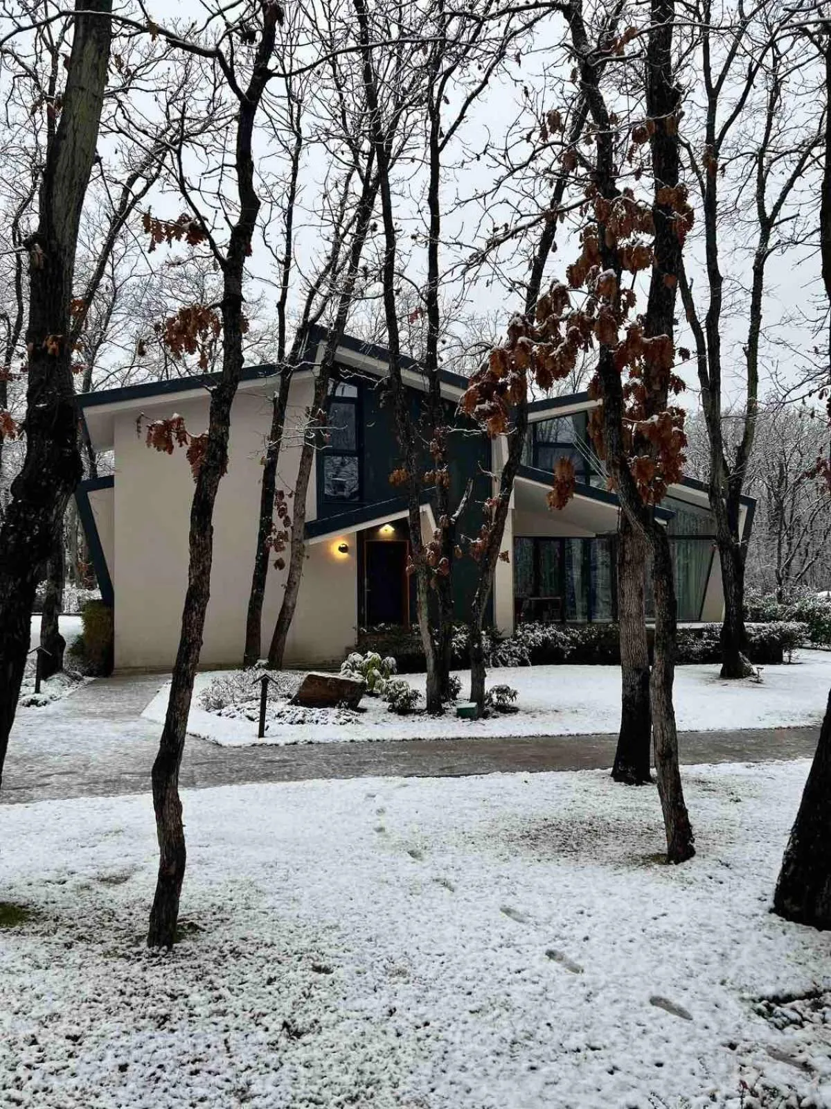 Property building in Utopia Forest