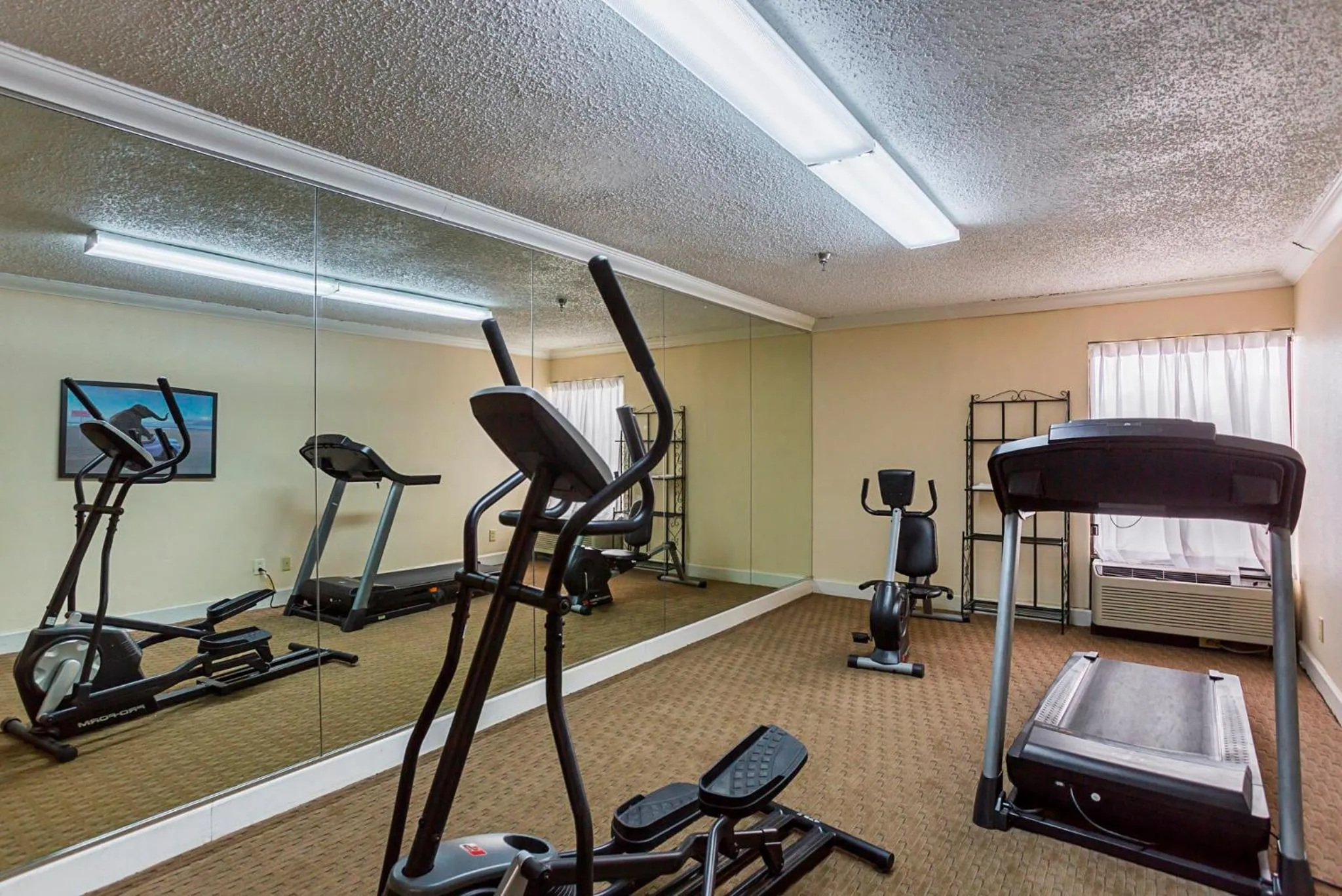 Fitness centre/facilities in Red Roof Inn Nashville - Music City