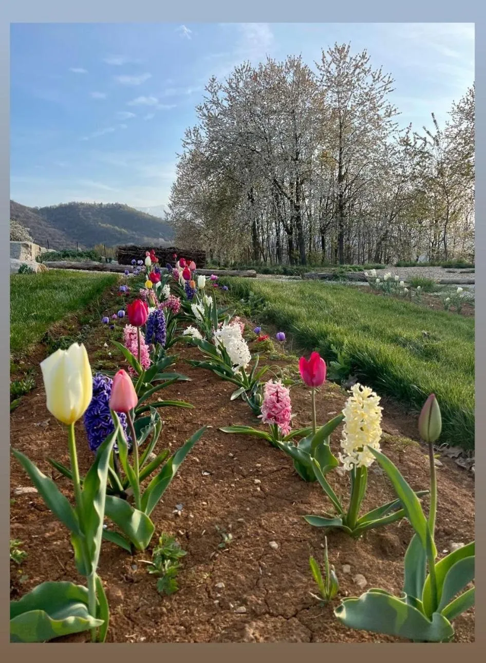 Locanda Cà Del Pian