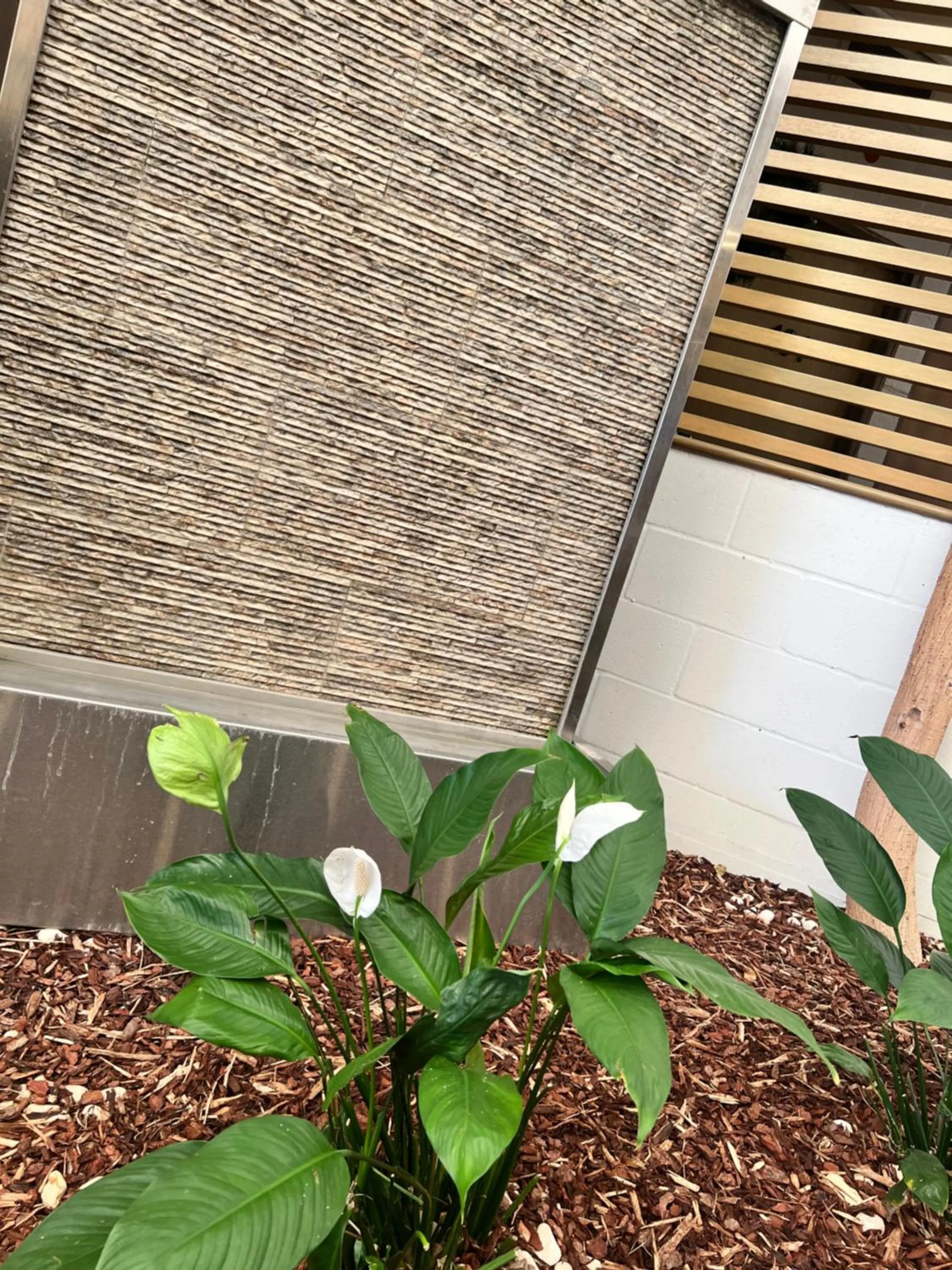 Spring in Pavilion Hotel Wagga Wagga