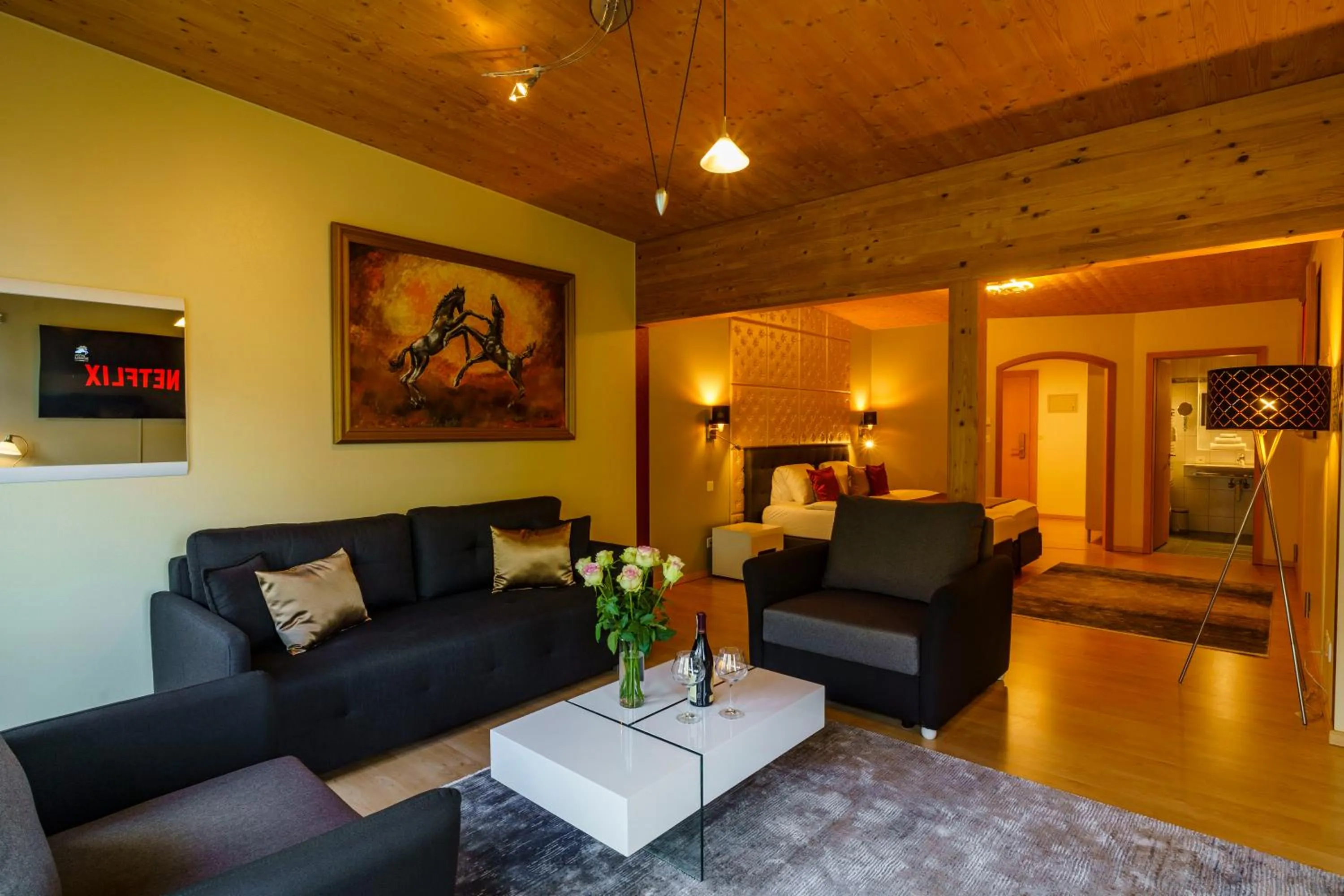 TV and multimedia in Seeblick SMART Hotel Rössli