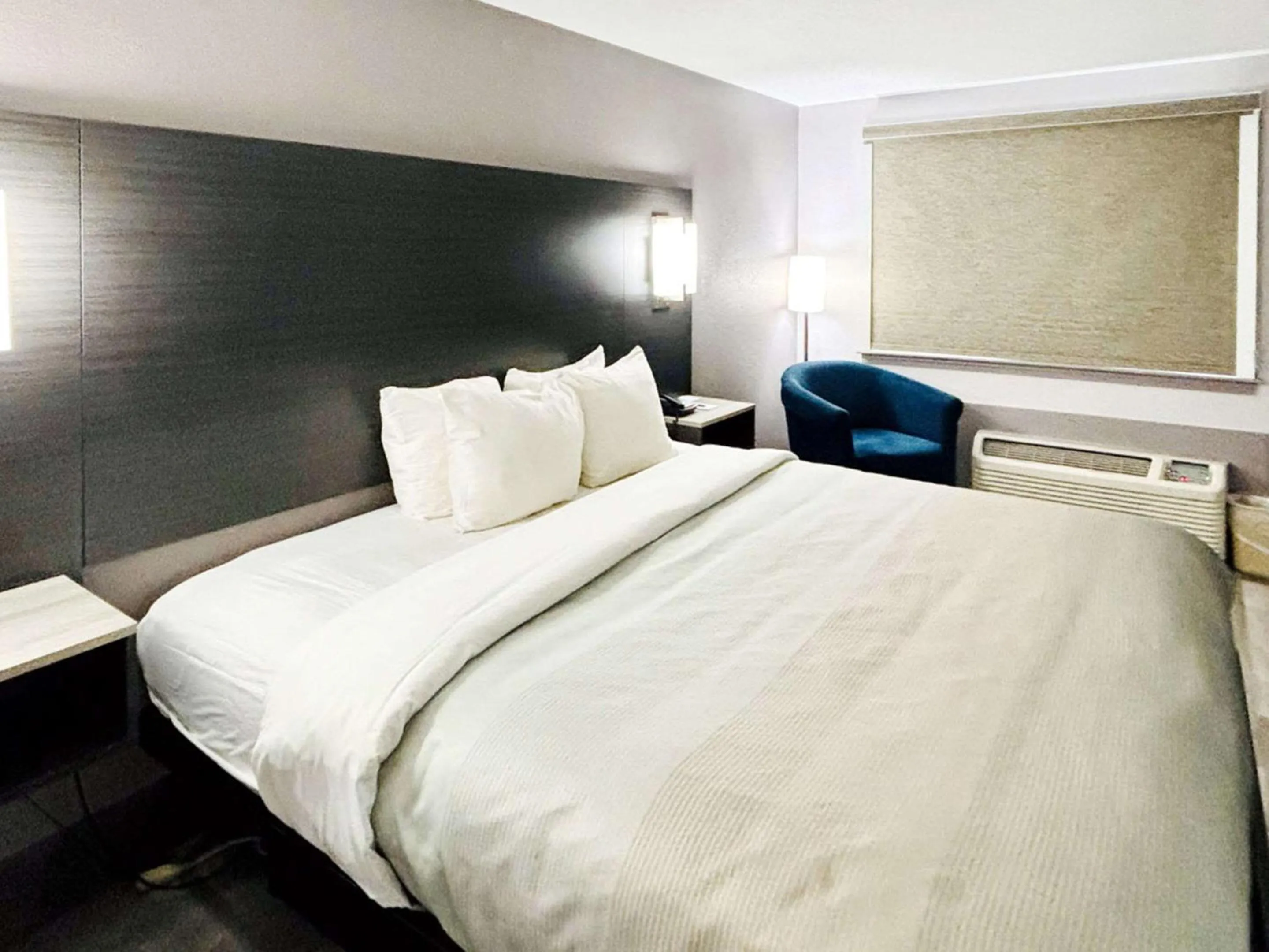 Bedroom, Bed in Quality Inn Raynham - Taunton