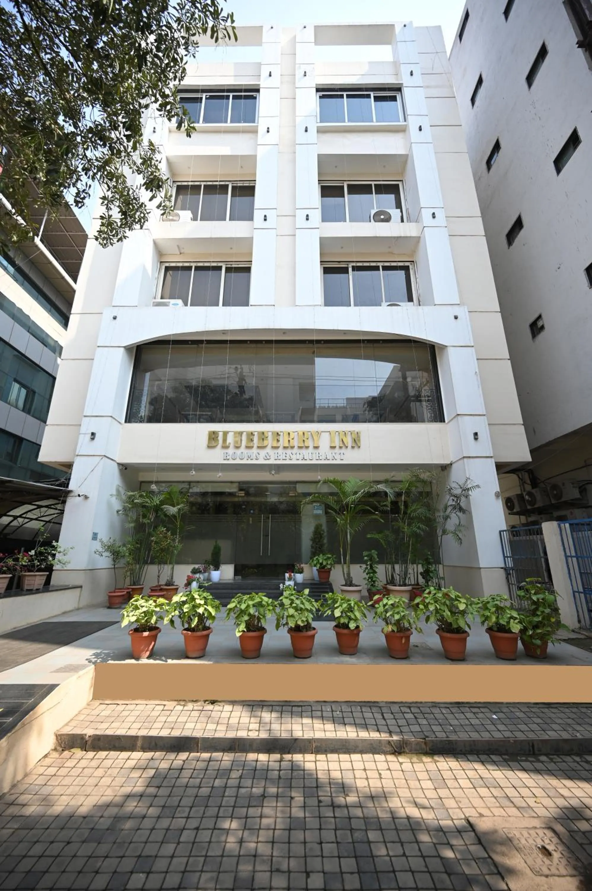 Property building in Blueberry Inn