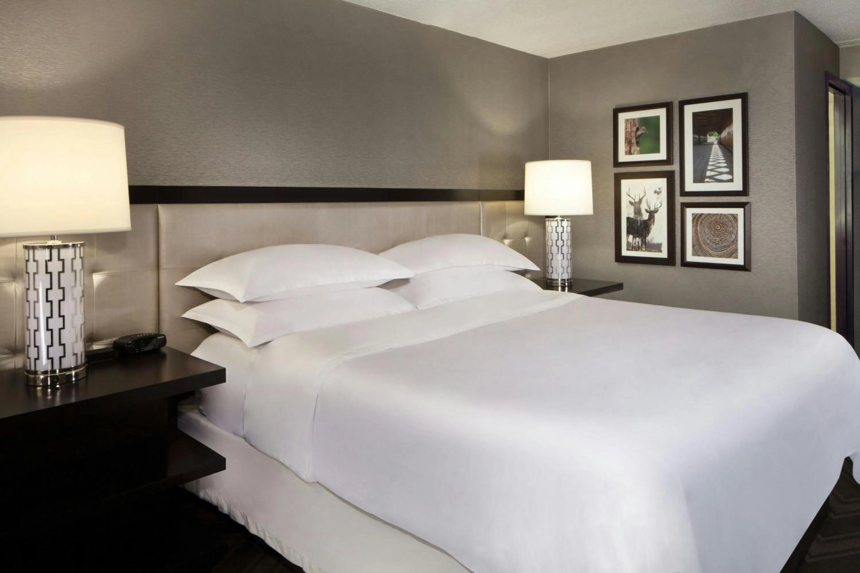 Photo of the whole room, Bed in Sheraton Bucks County Langhorne