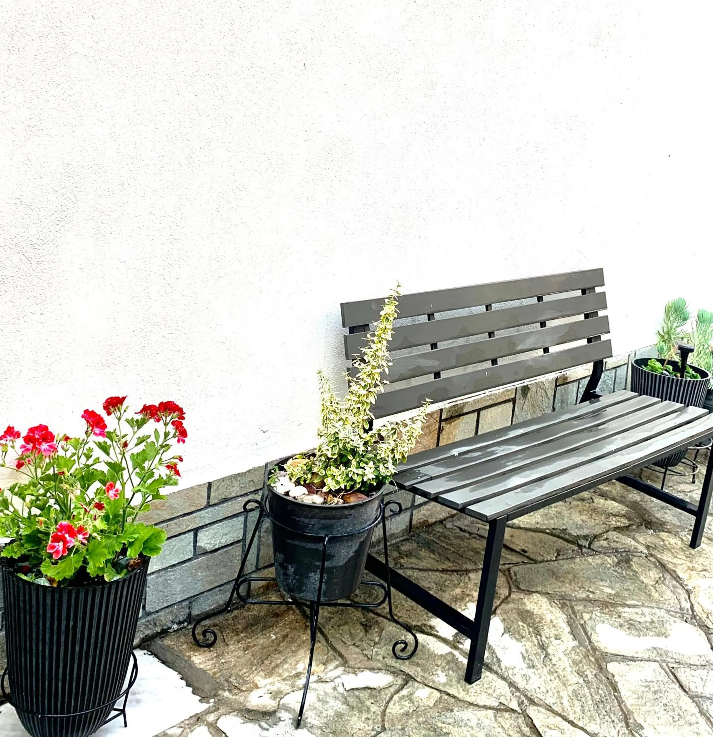 Spring in Hotel Exarhos