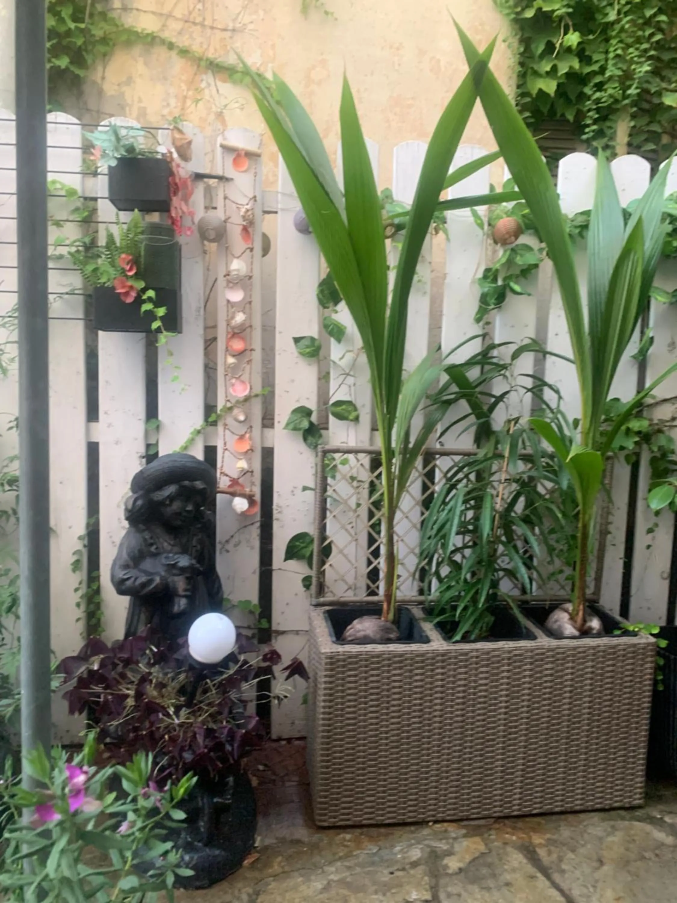 Garden view in Hotel Exarhos