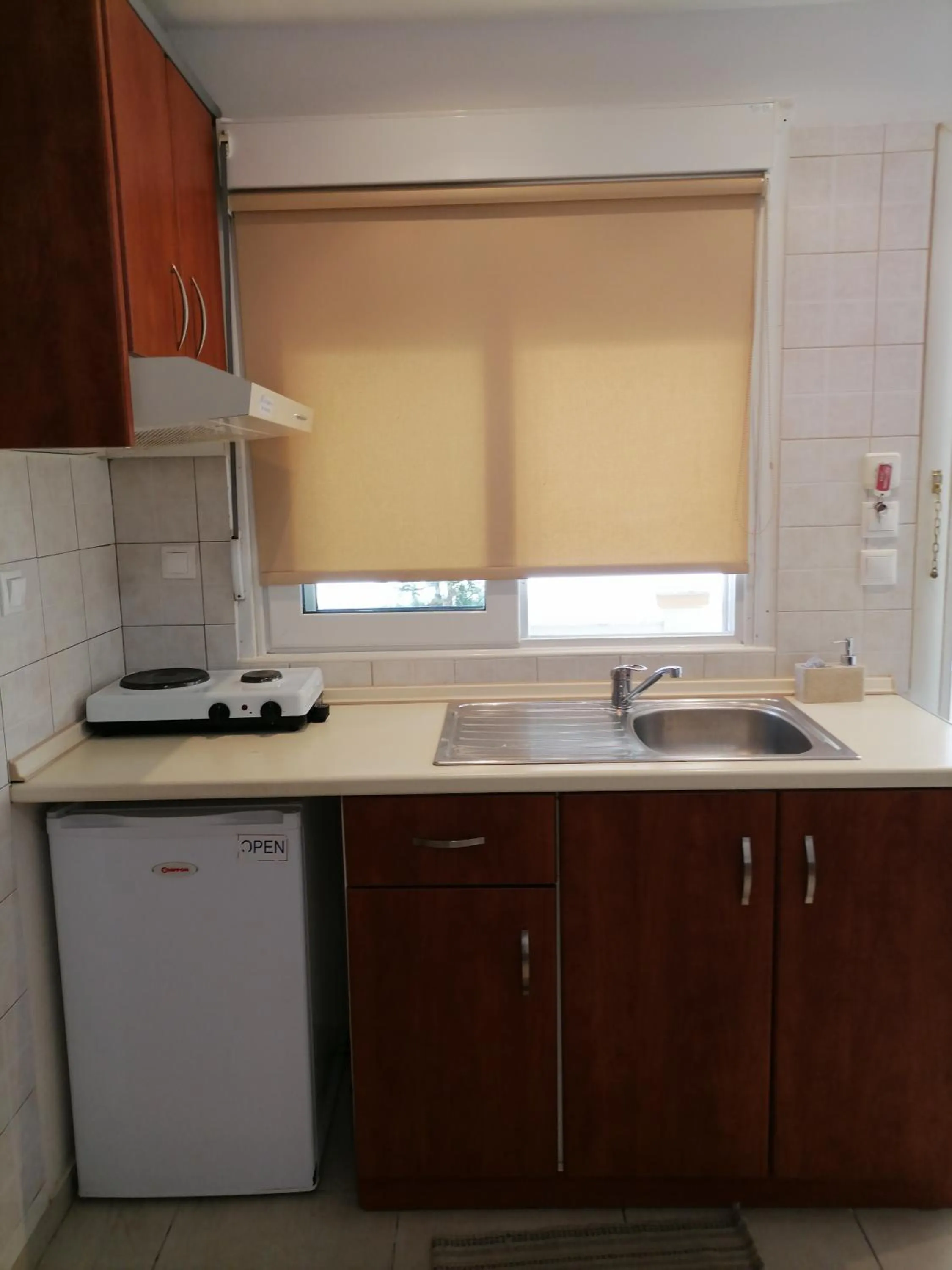 Kitchen or kitchenette in Hotel Exarhos