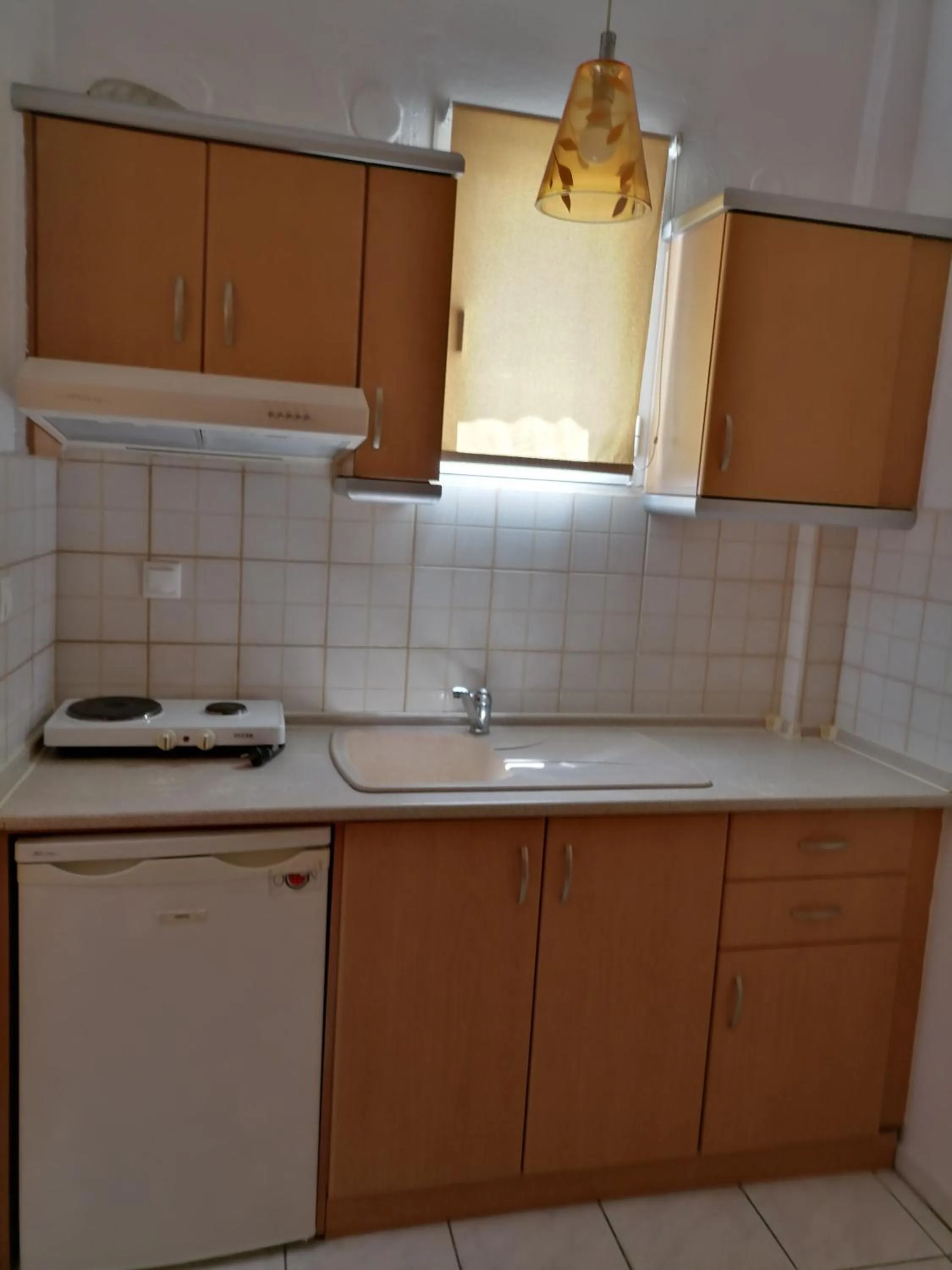 Kitchen or kitchenette in Hotel Exarhos