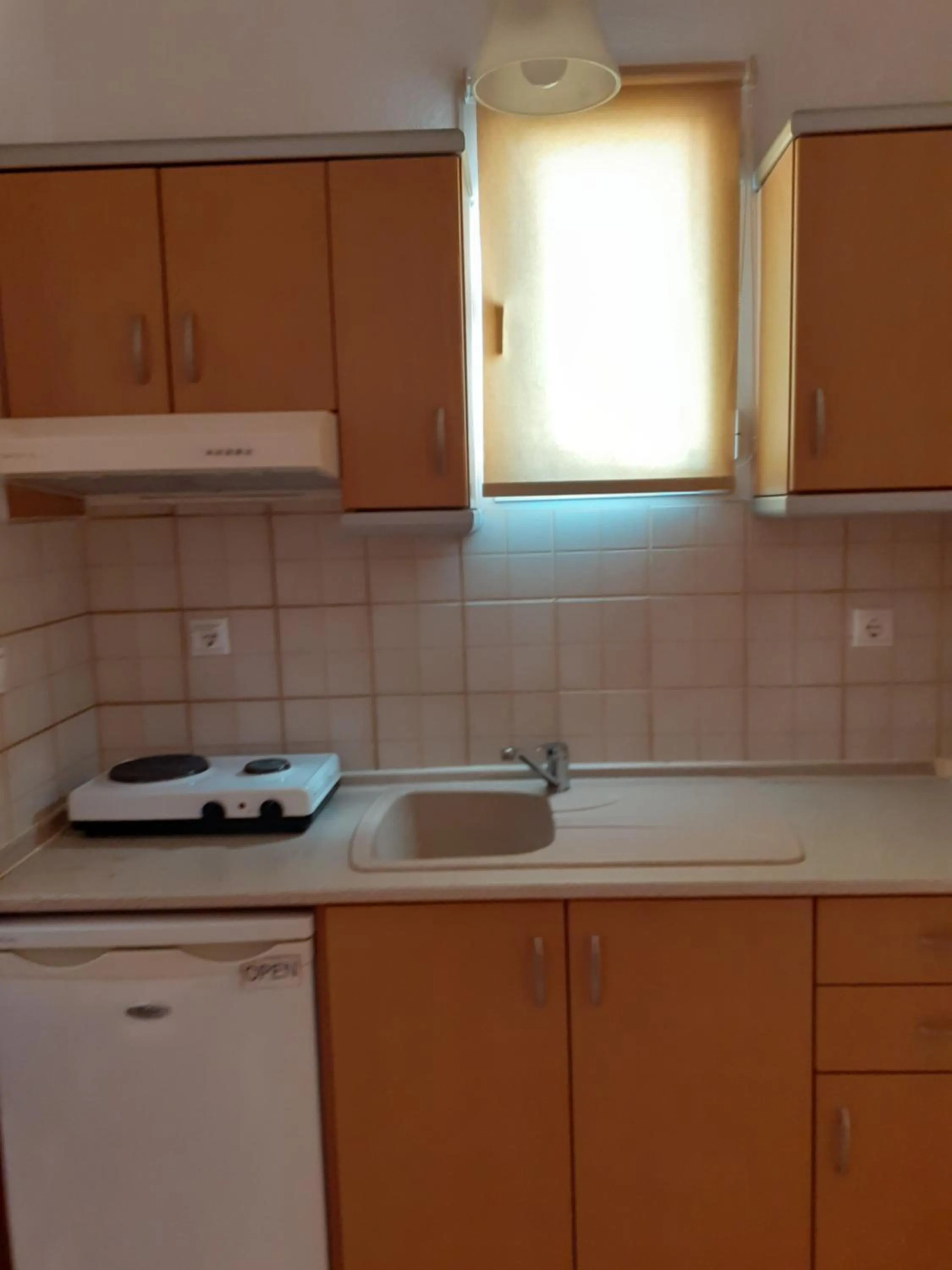 Kitchen or kitchenette in Hotel Exarhos