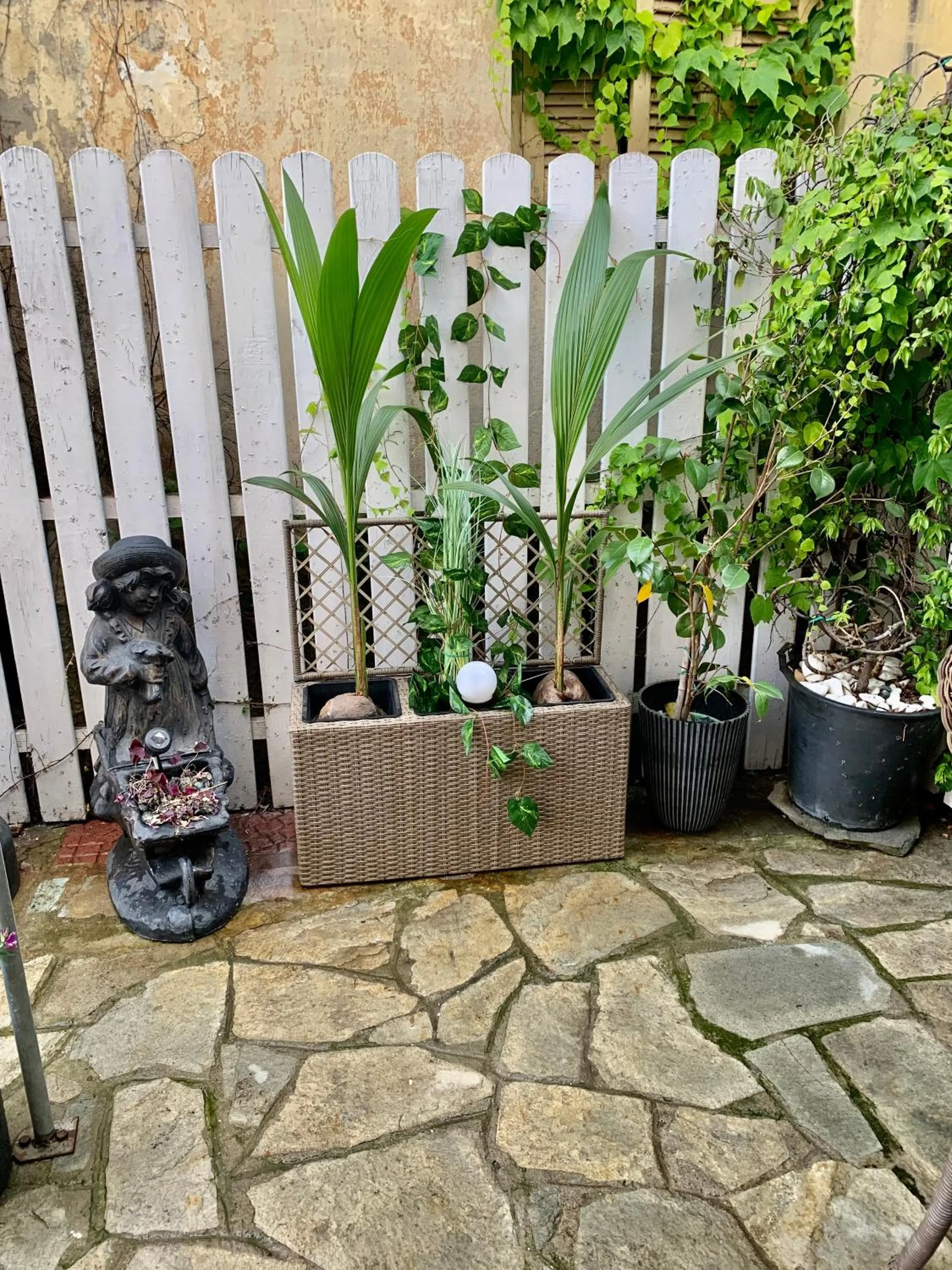 Garden view in Hotel Exarhos