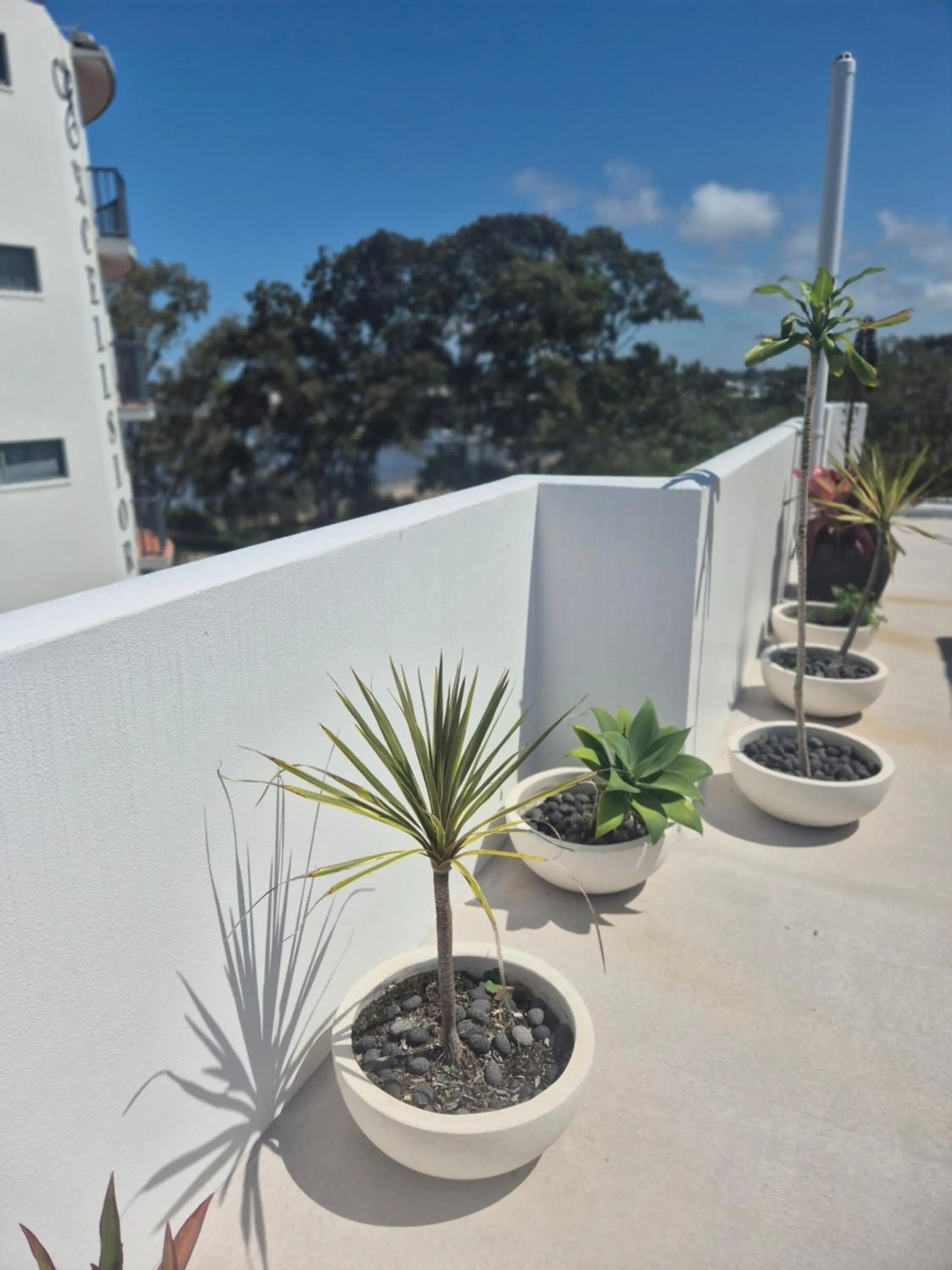 View (from property/room) in Excellsior Apartments