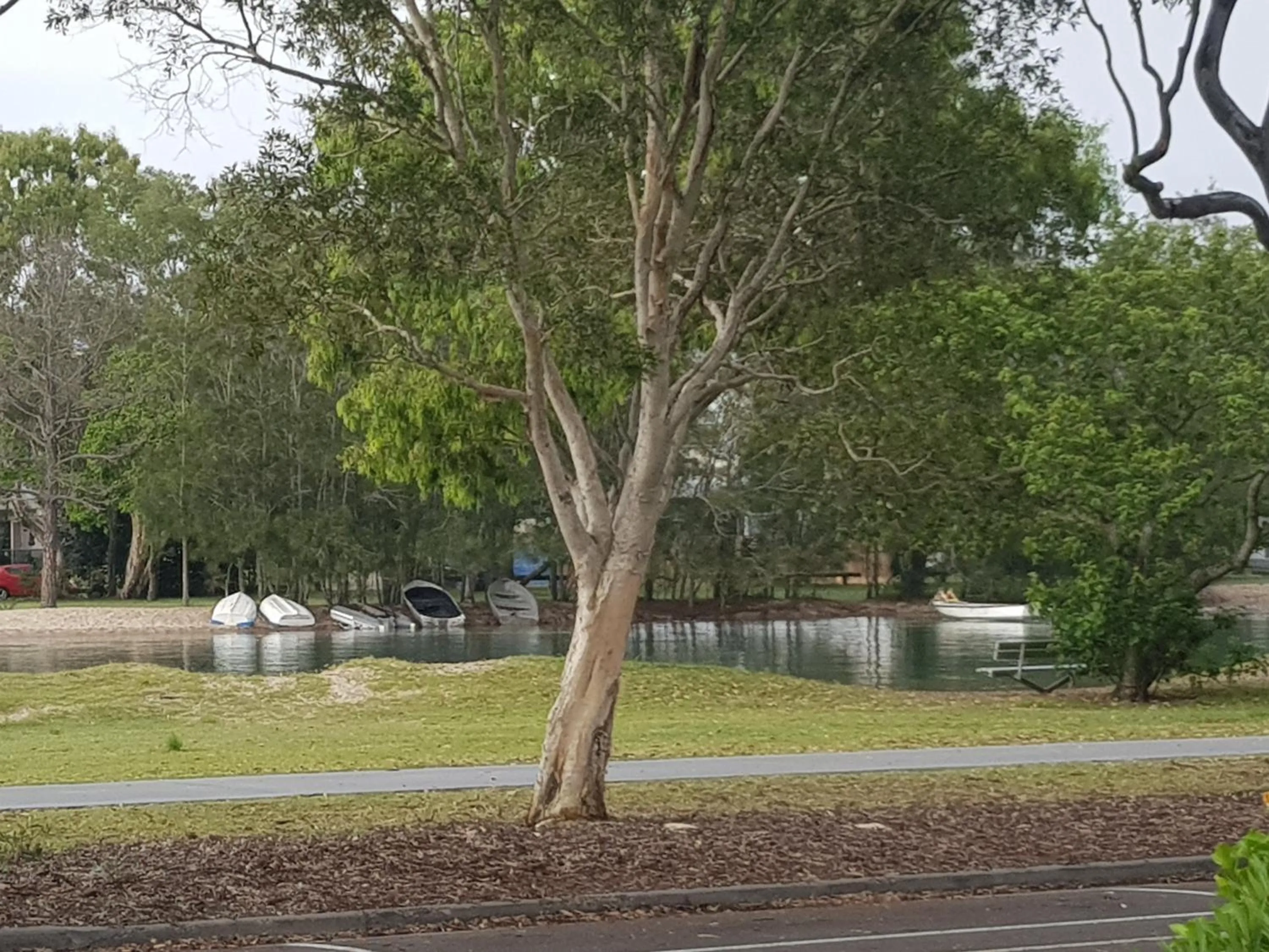 Activities in Excellsior Apartments