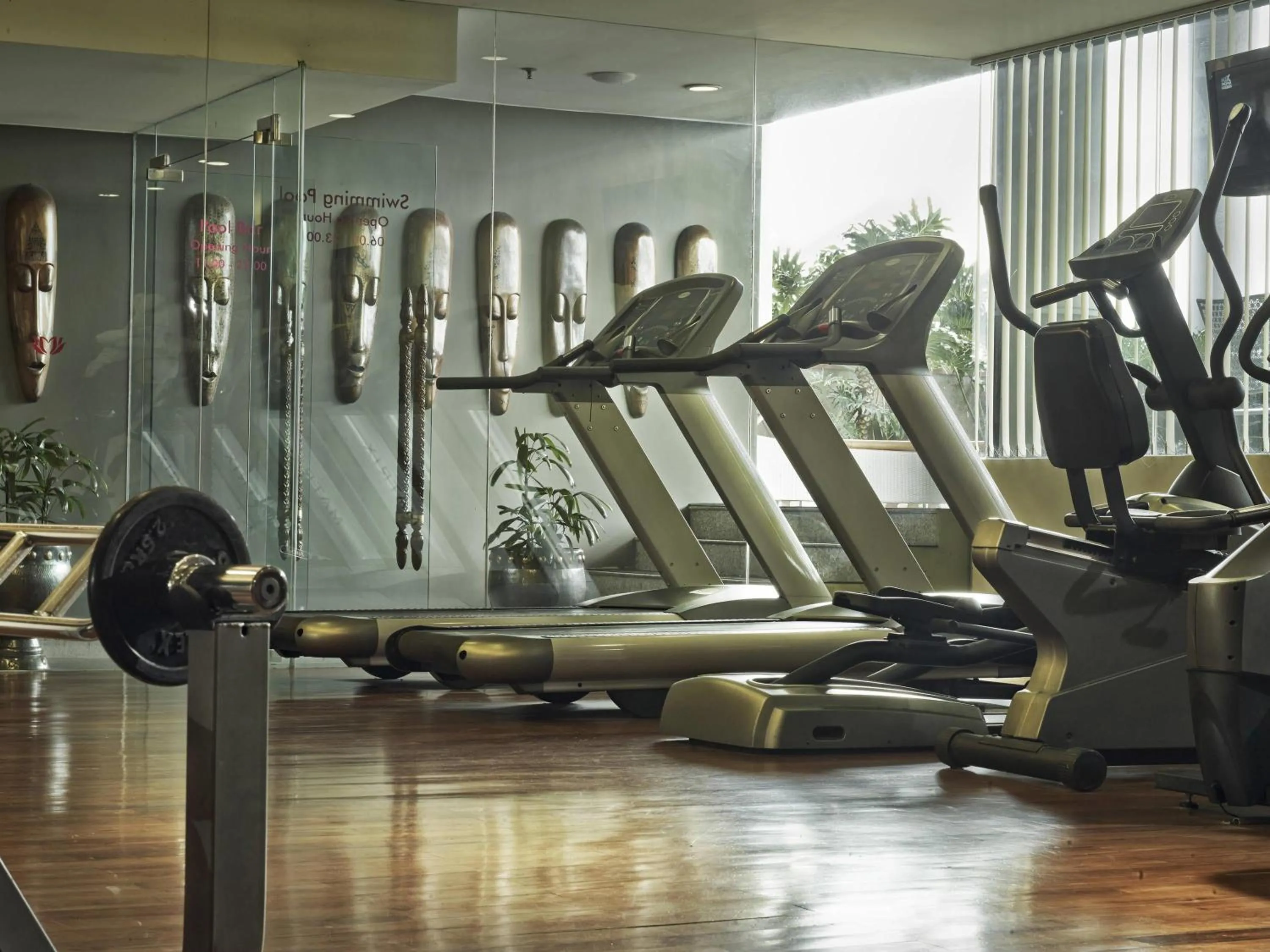 Fitness centre/facilities in The Royal Surakarta Heritage - Handwritten Collection