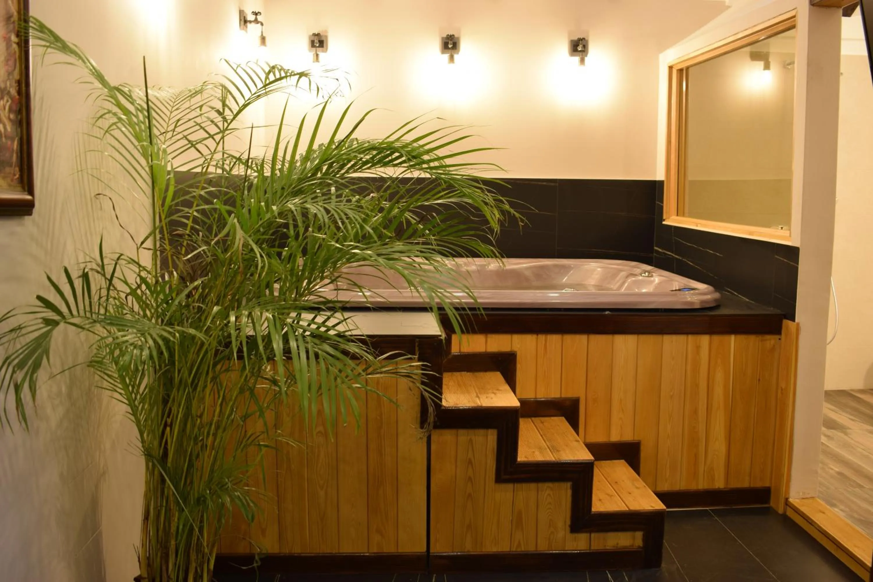 Hot Tub in Bahus Inn