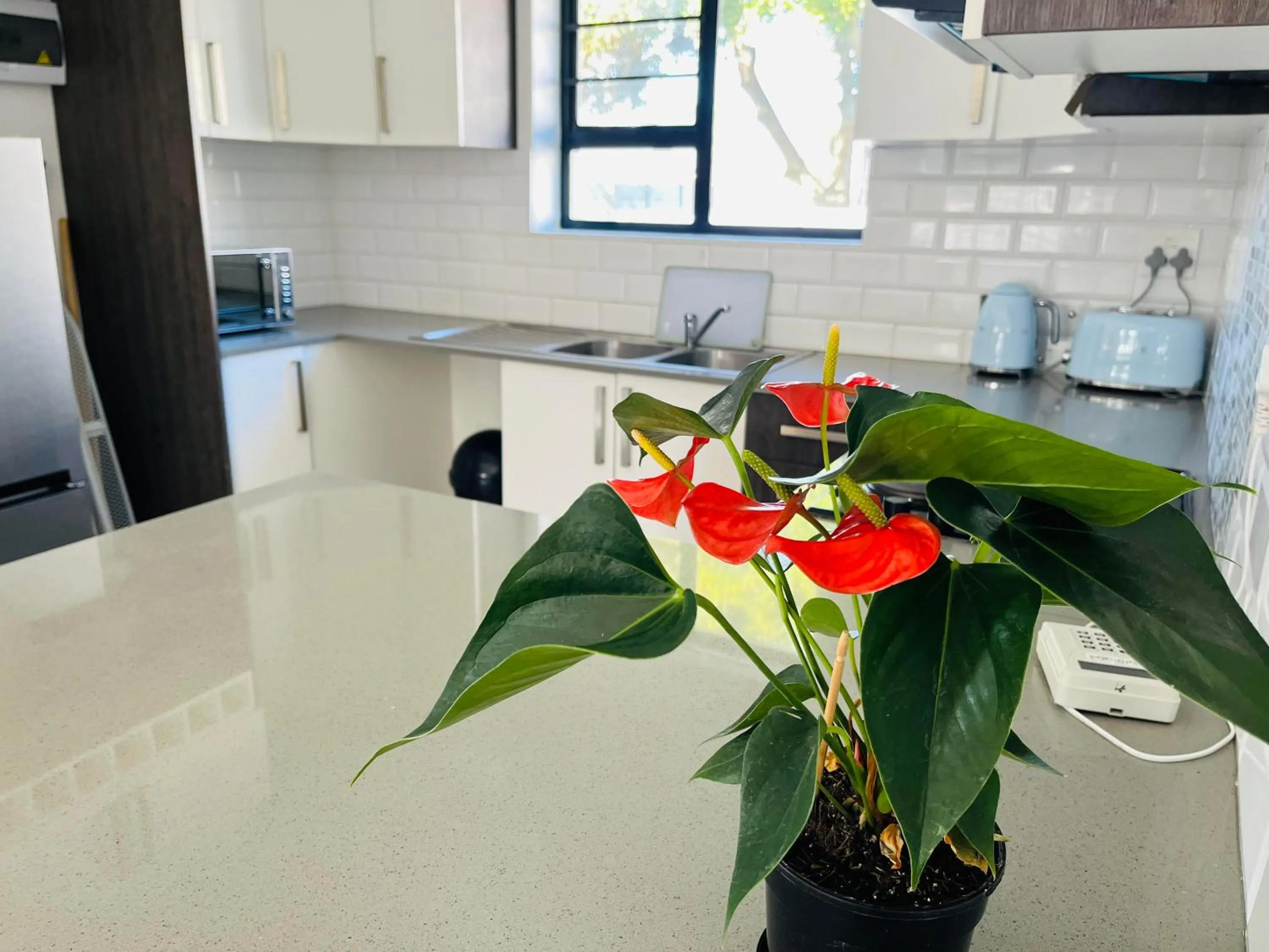 Kitchen or kitchenette in Mount Pleasant Suites