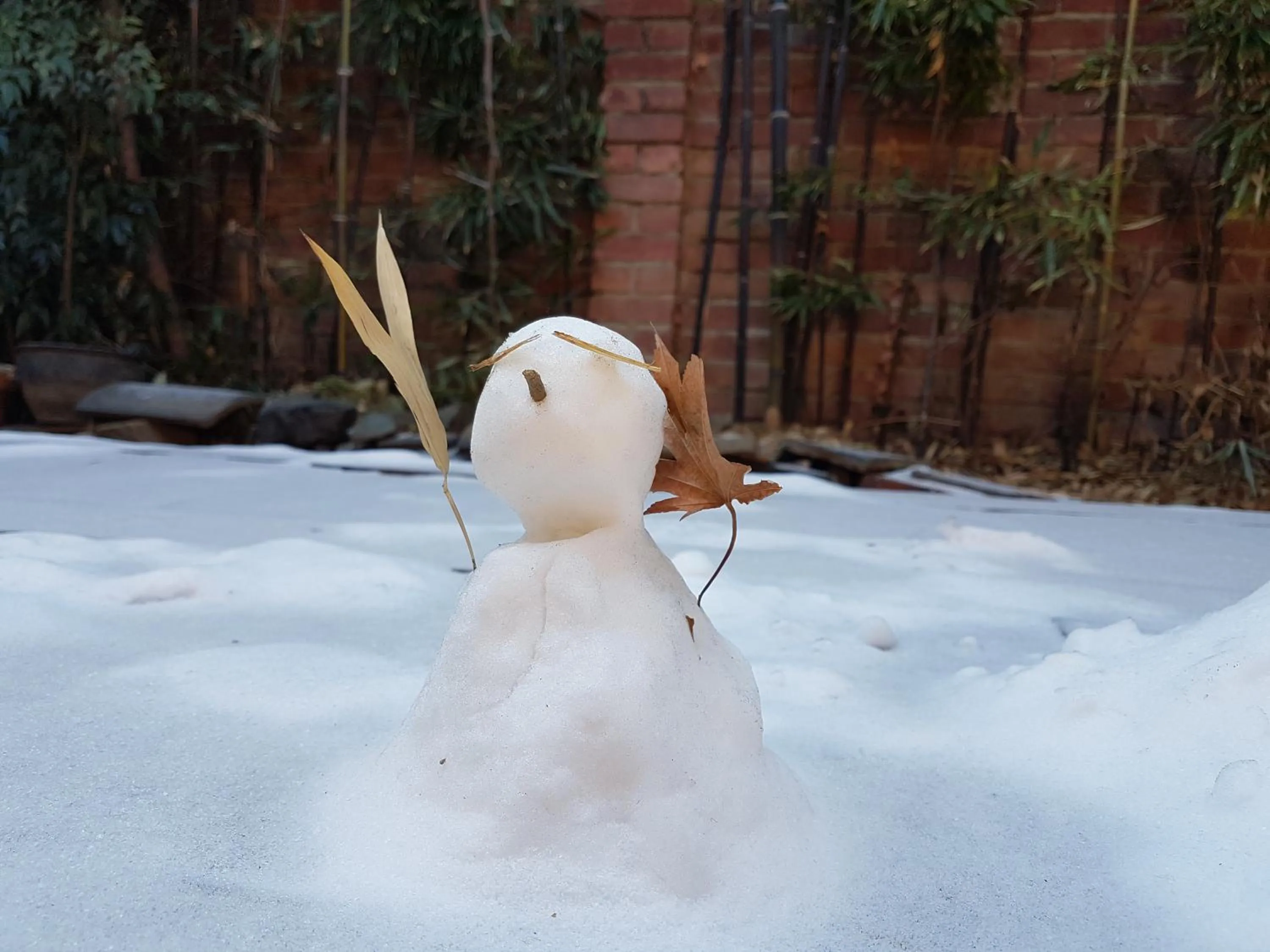 Gongsimga Hanok Guesthouse
