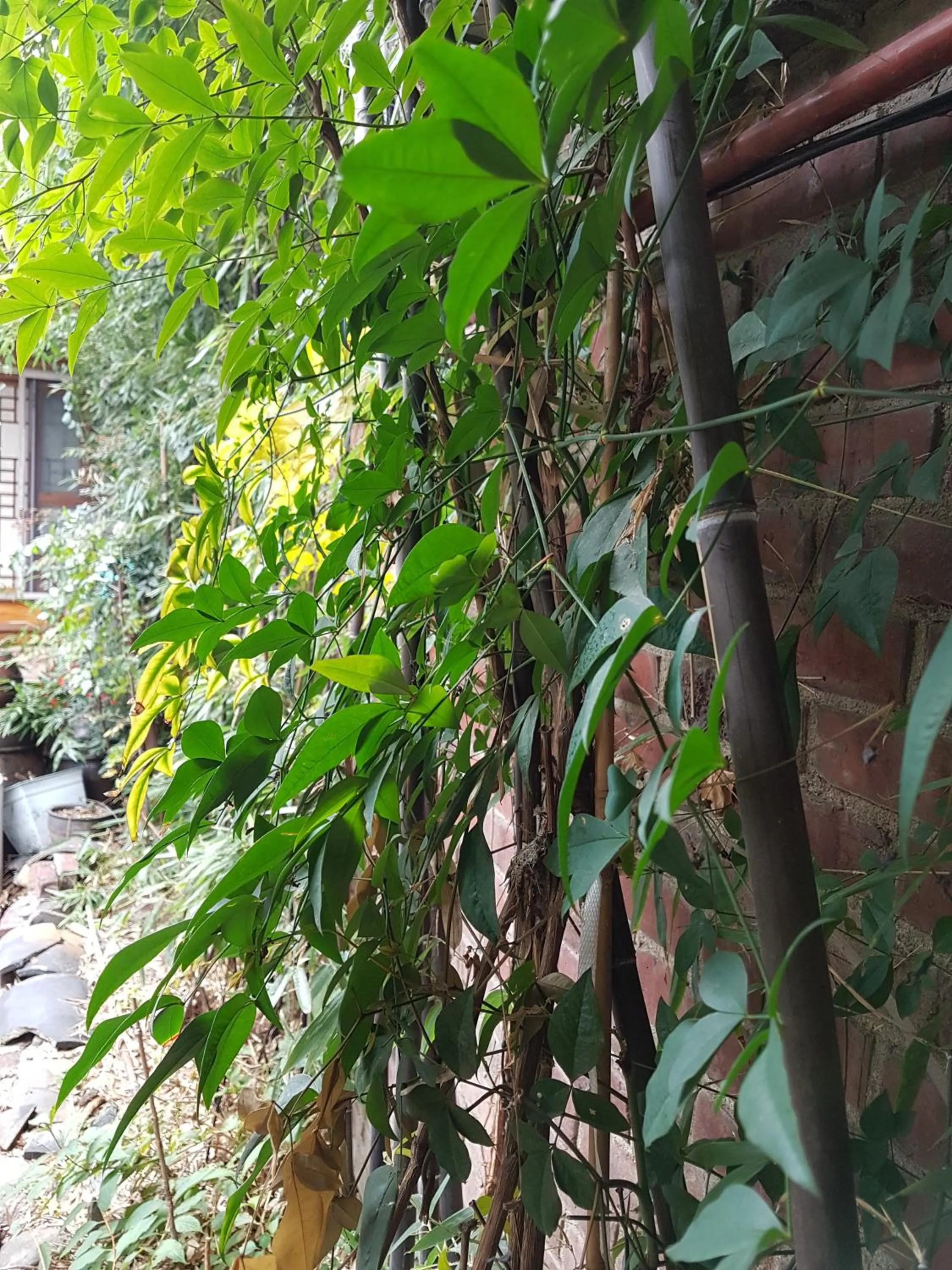 Gongsimga Hanok Guesthouse