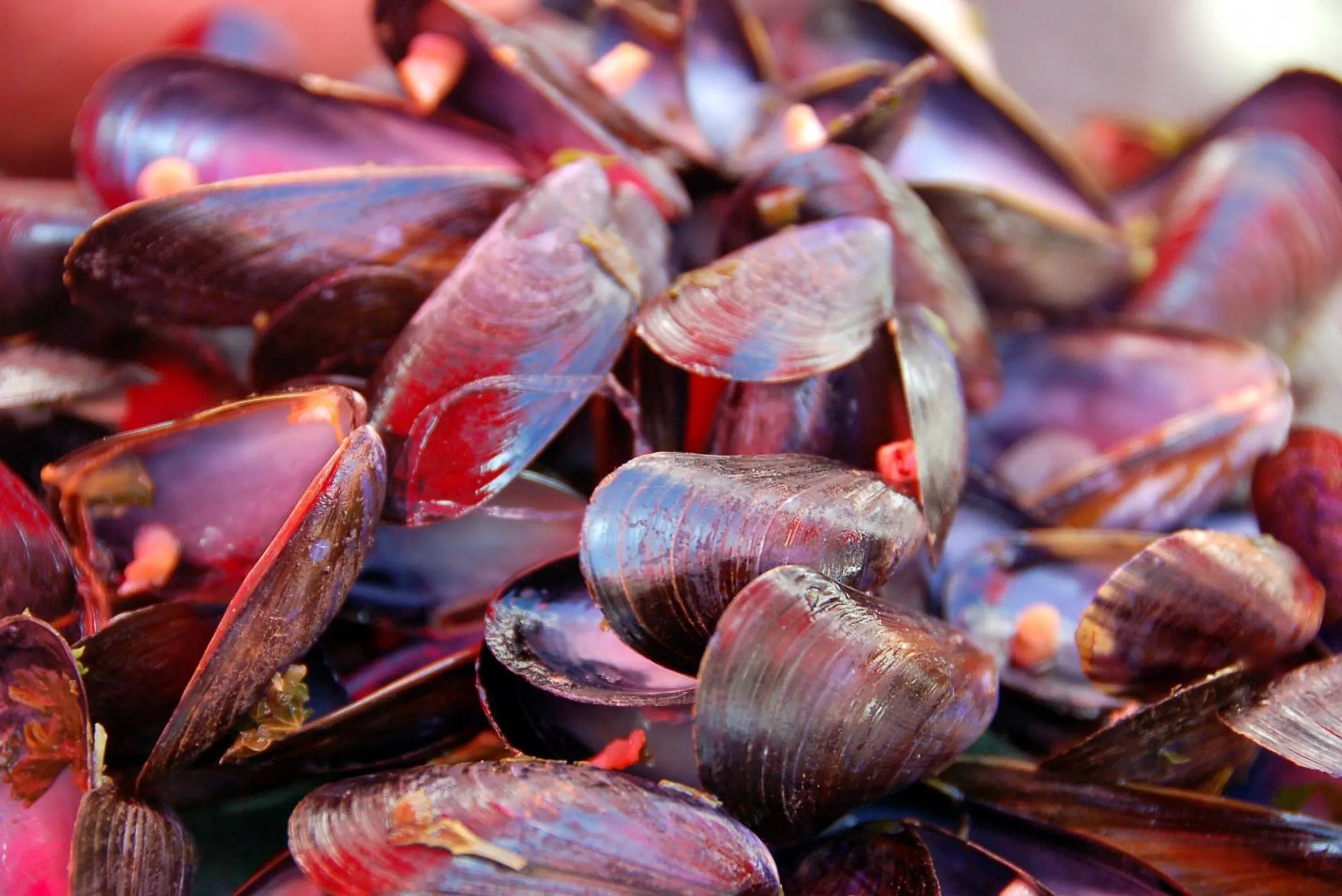 Restaurant/places to eat in Hotel Ker Vennaik