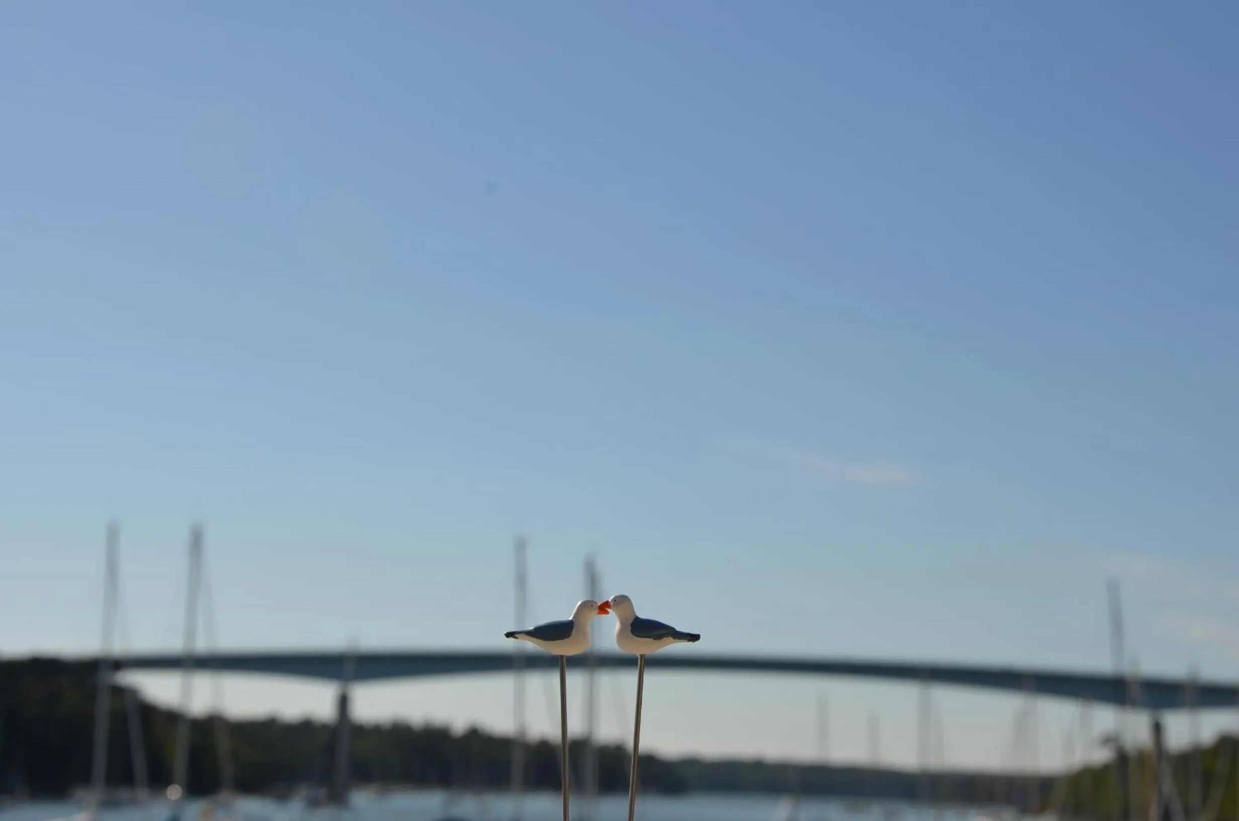 Natural landscape in Hotel Ker Vennaik