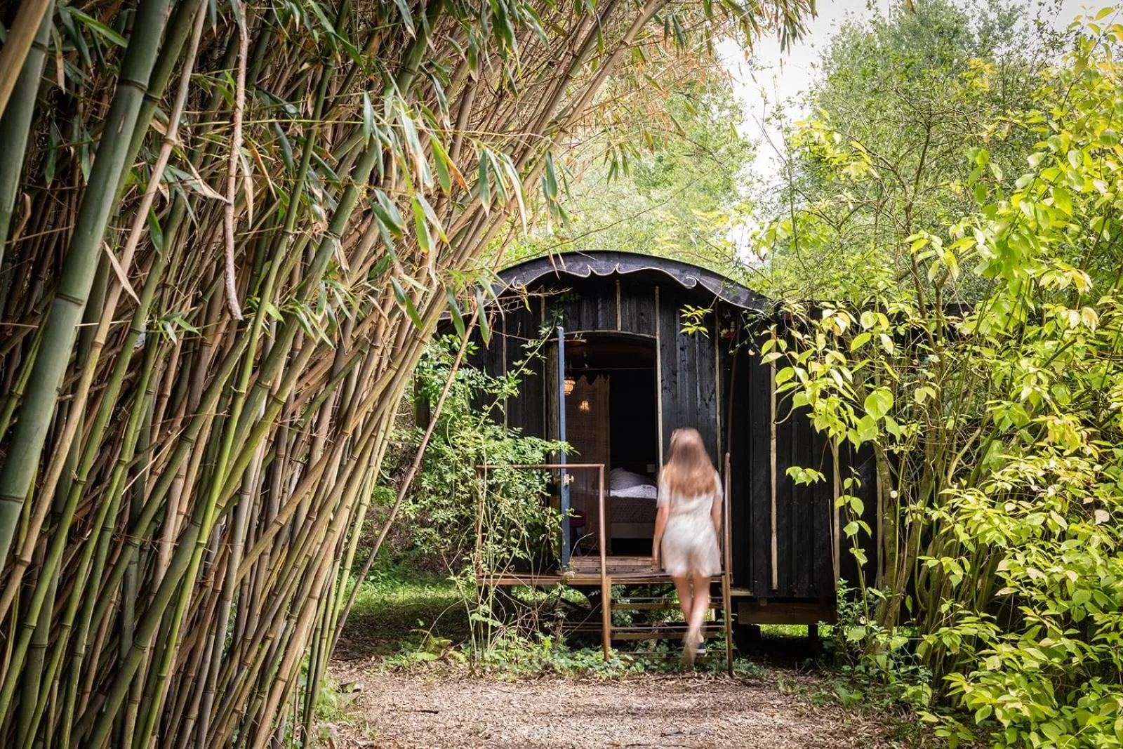 Les Cabanes Des Marais
