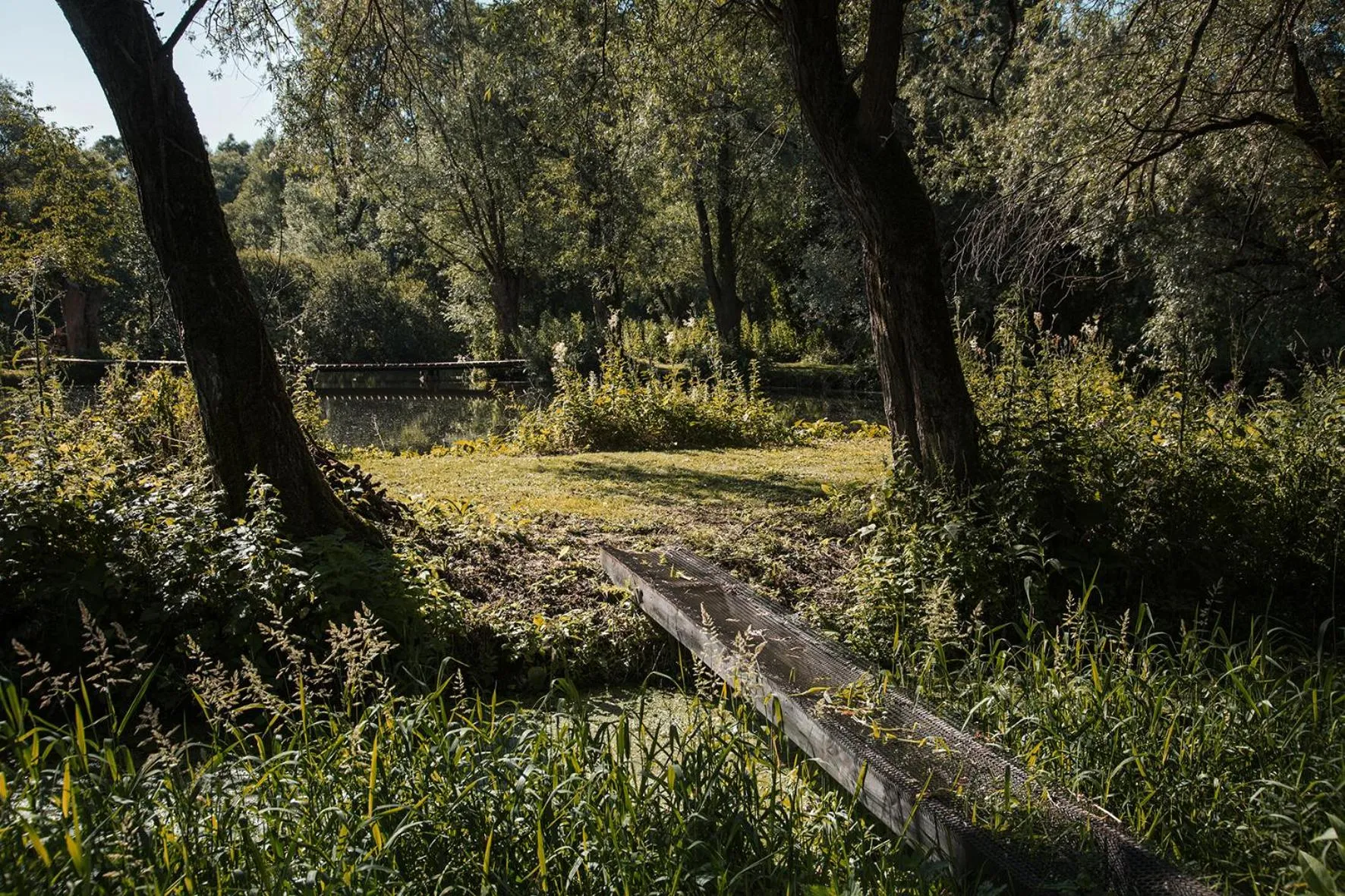 Les Cabanes Des Marais