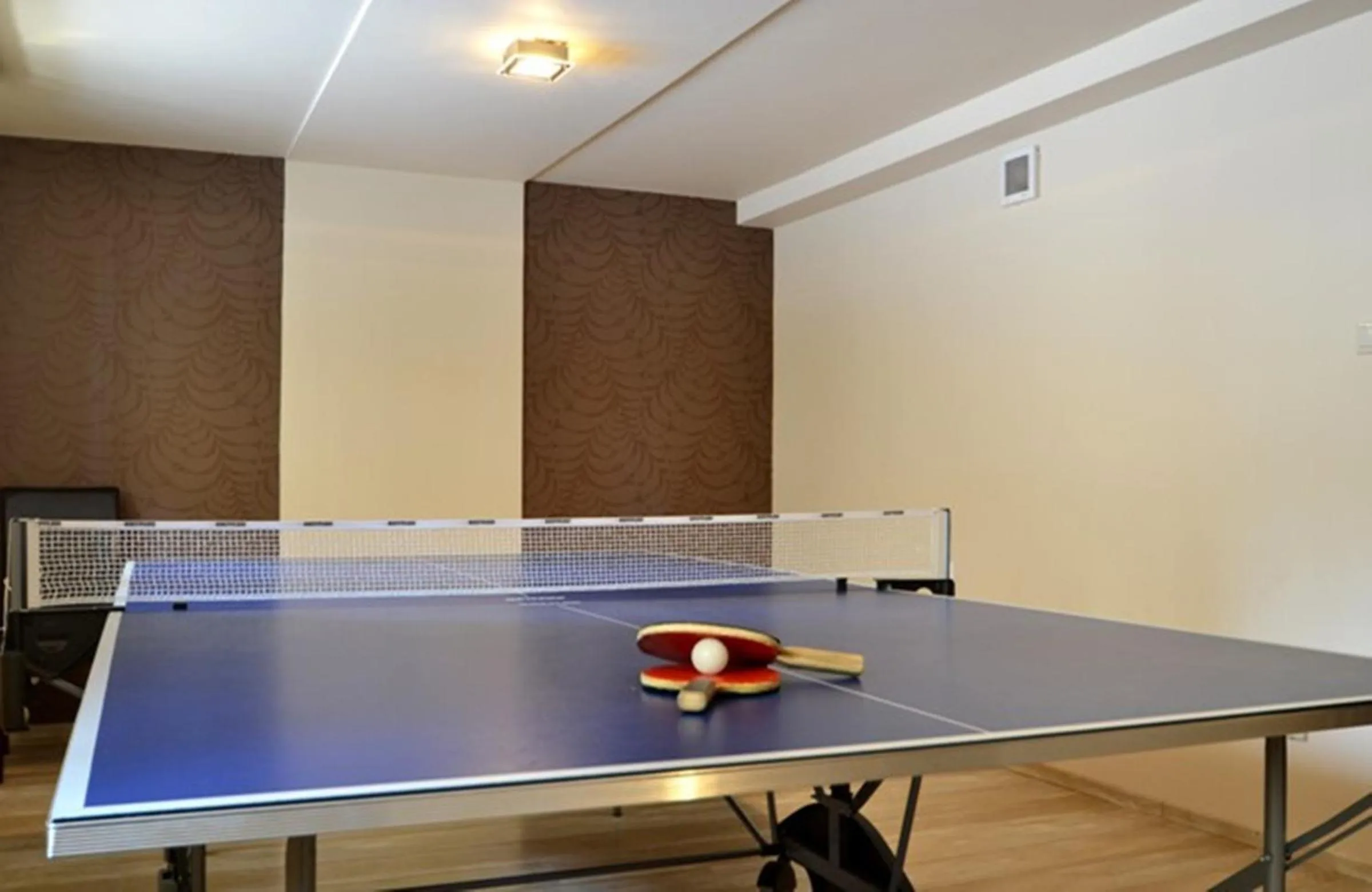 Table tennis in Hotel Orlik