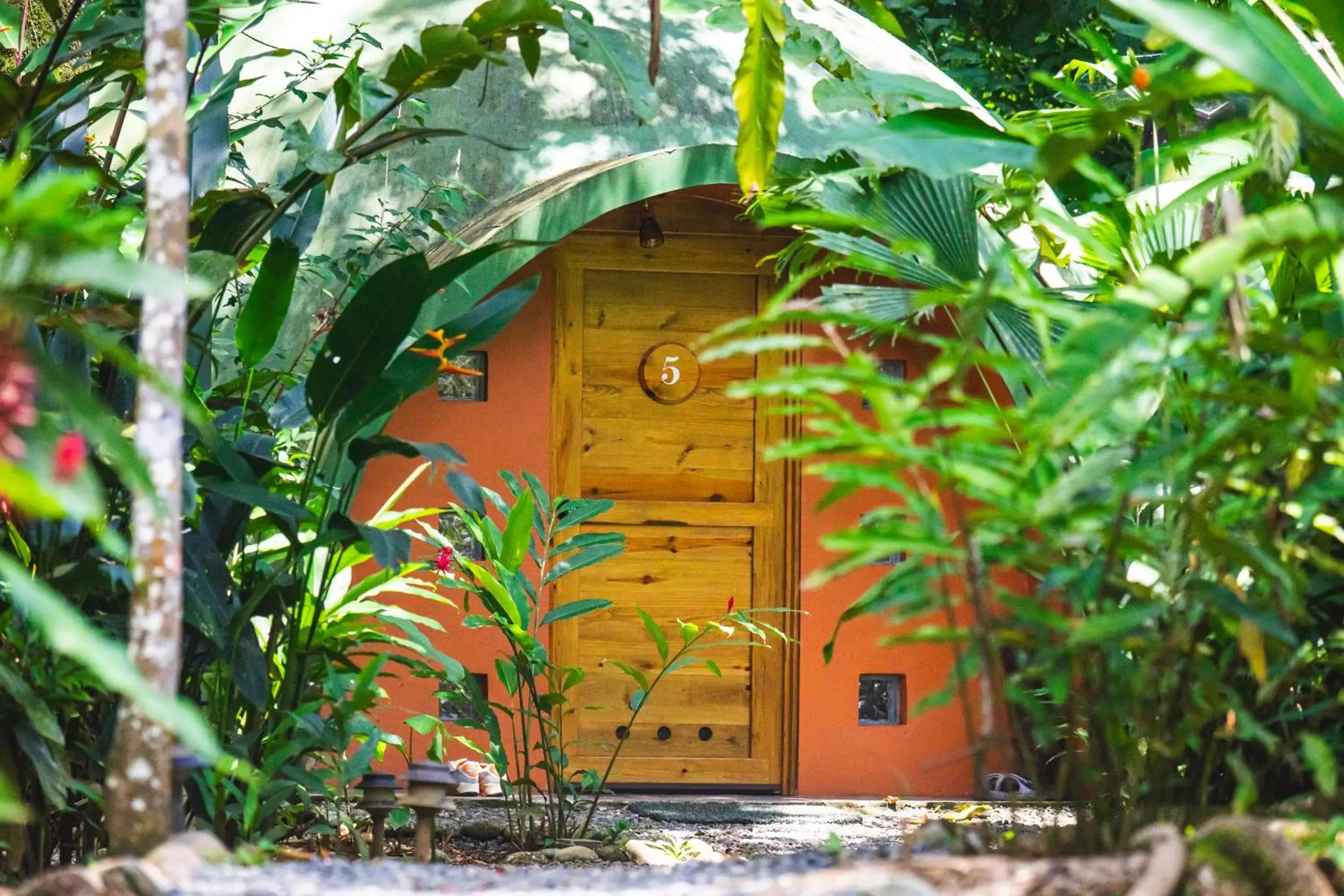 Deluxe King Room in Nowhere Deluxe King Room in Nowhere