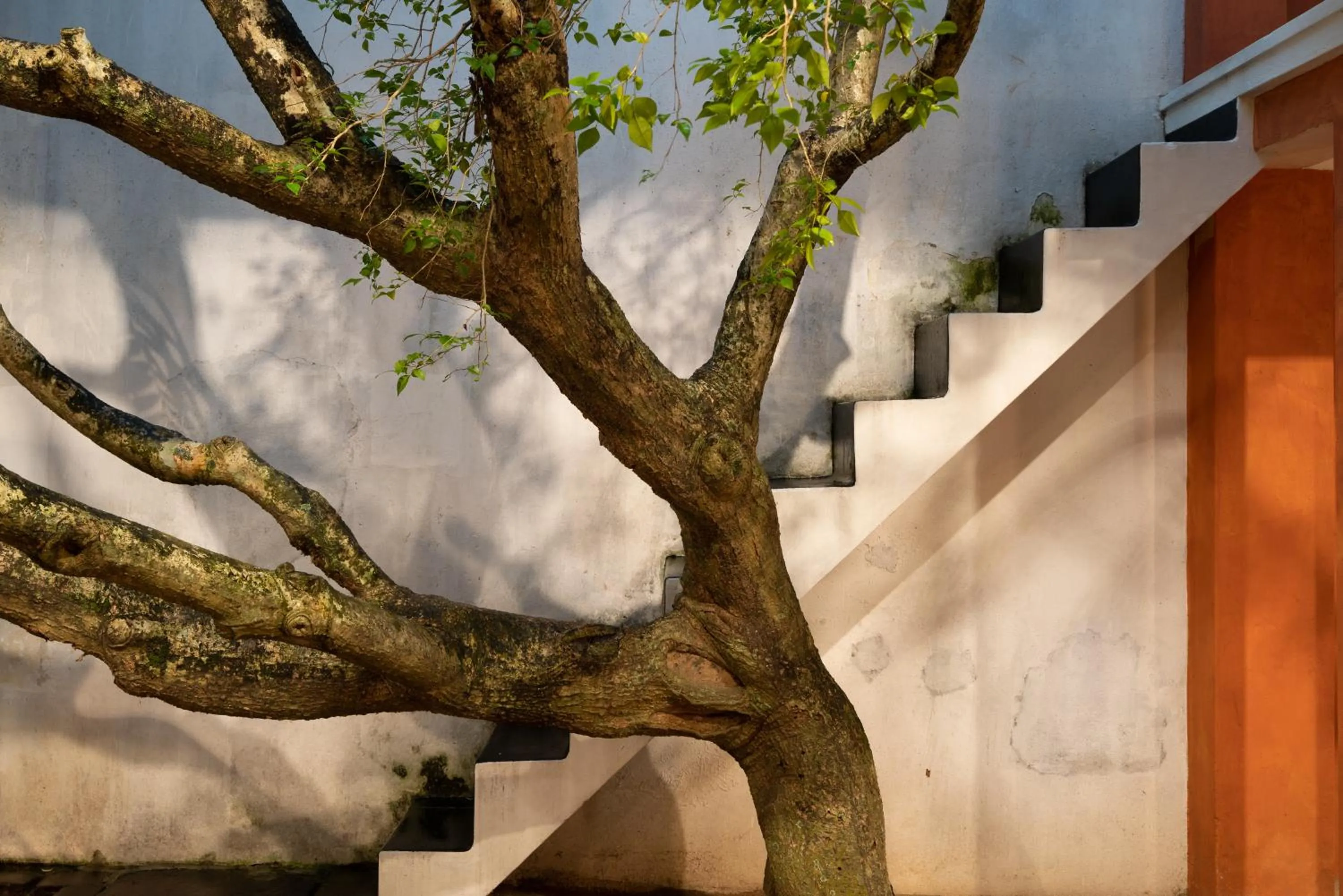 Garden in De Saram House by Geoffrey Bawa