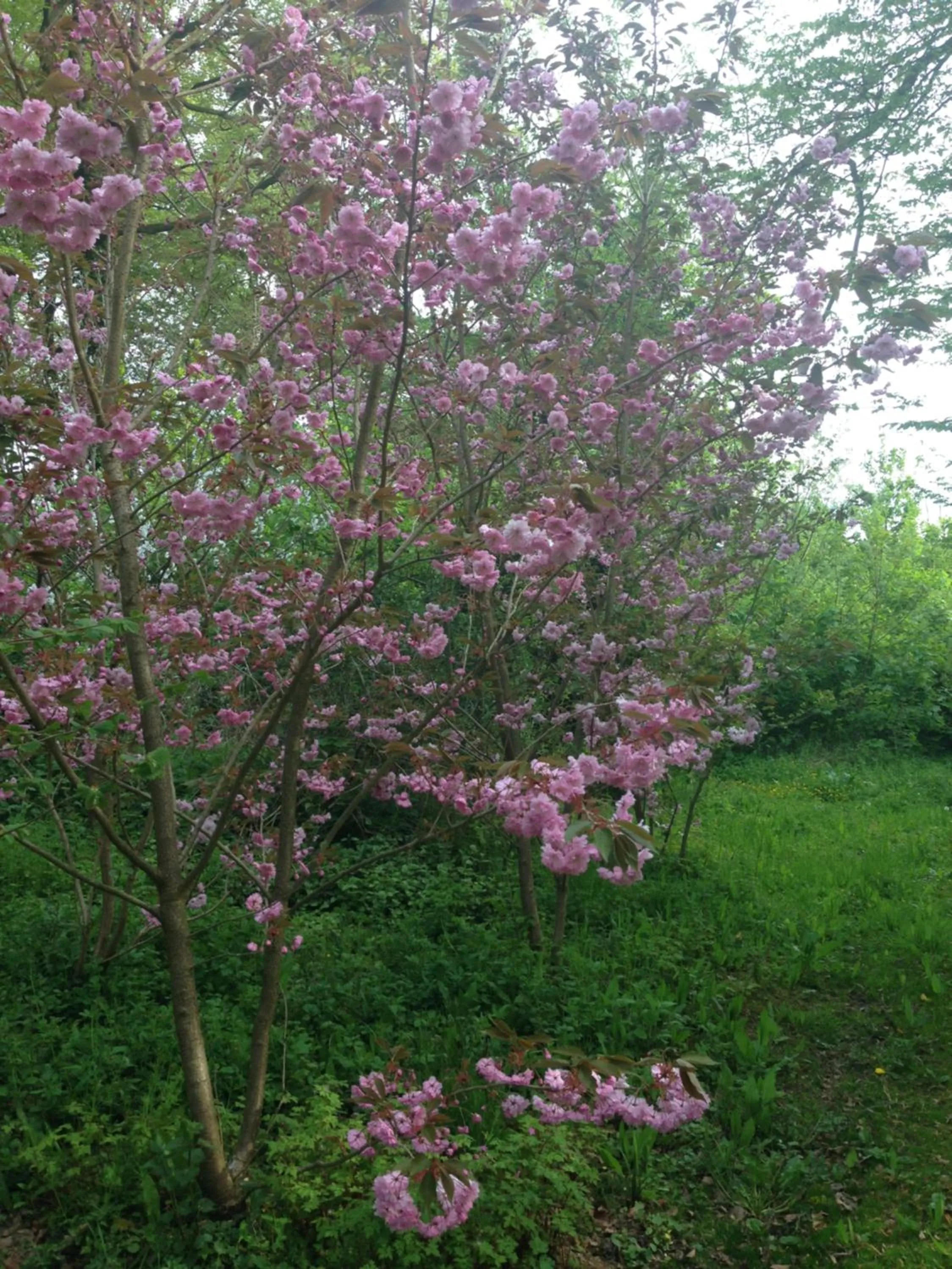 Le Château de Grèges