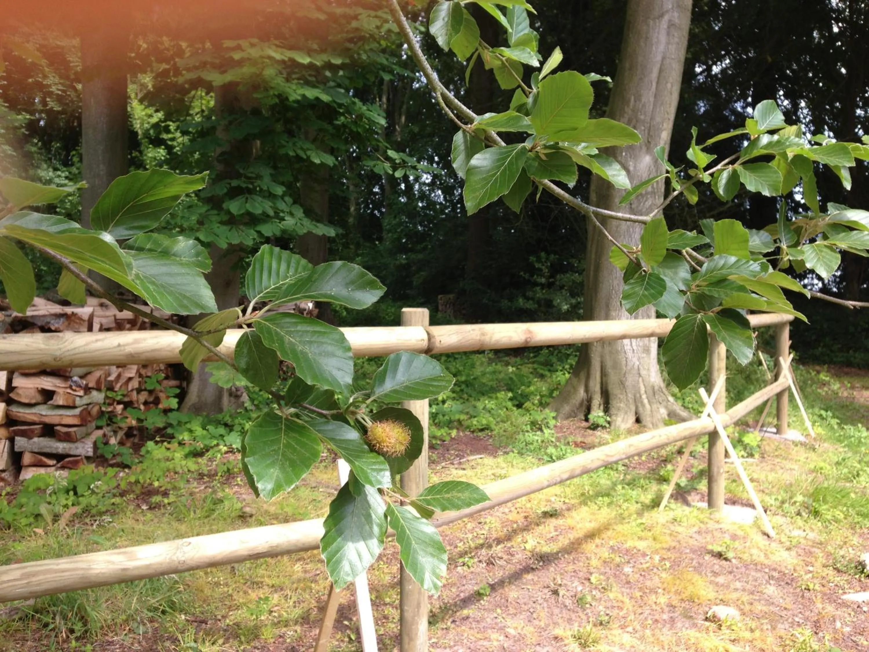 Garden in Le Château de Grèges