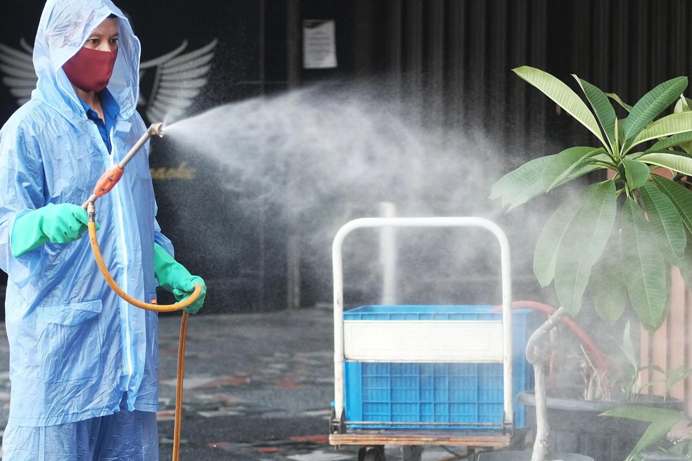 Other in Rawai Paradise