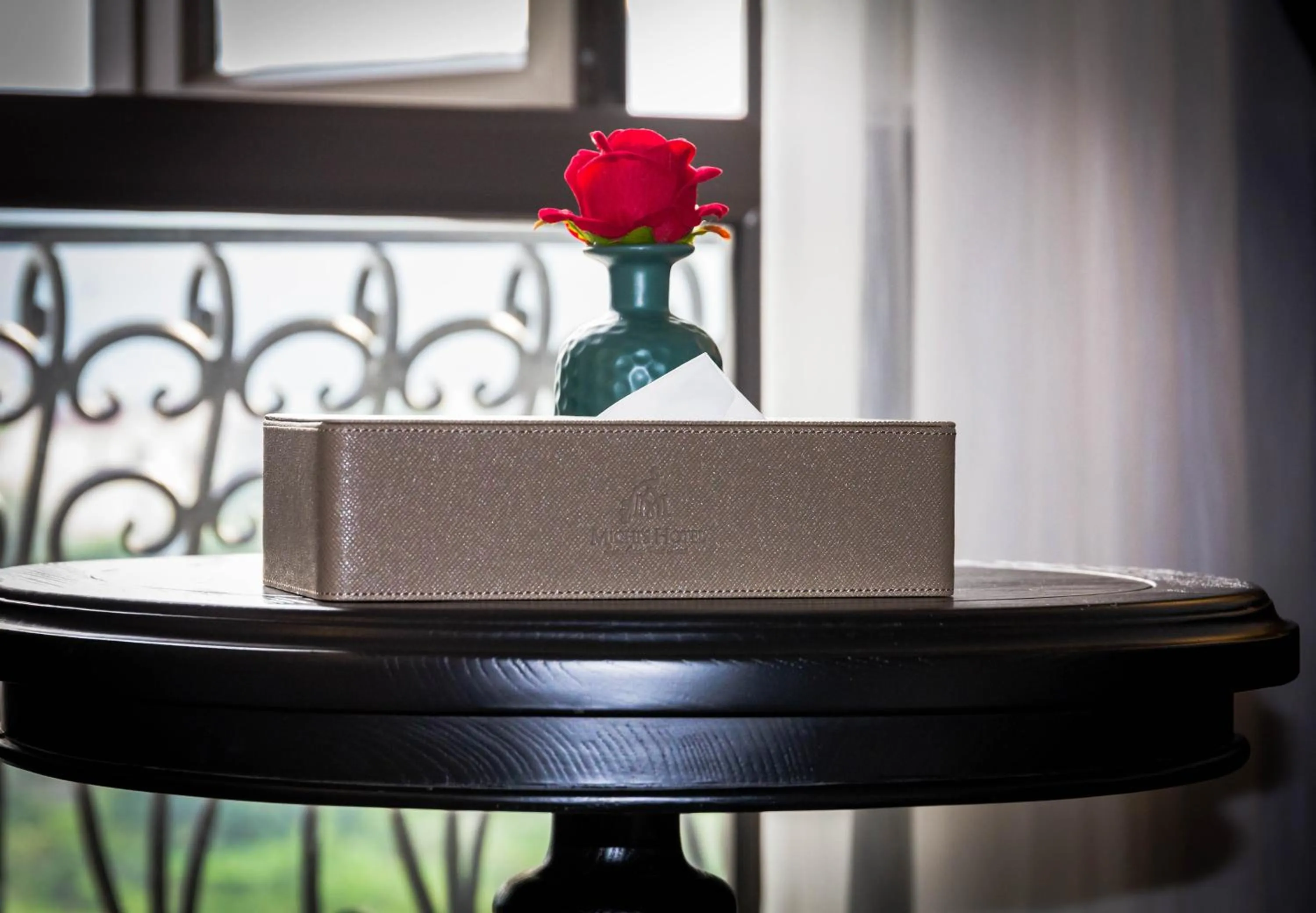 Michi's hotel laocai