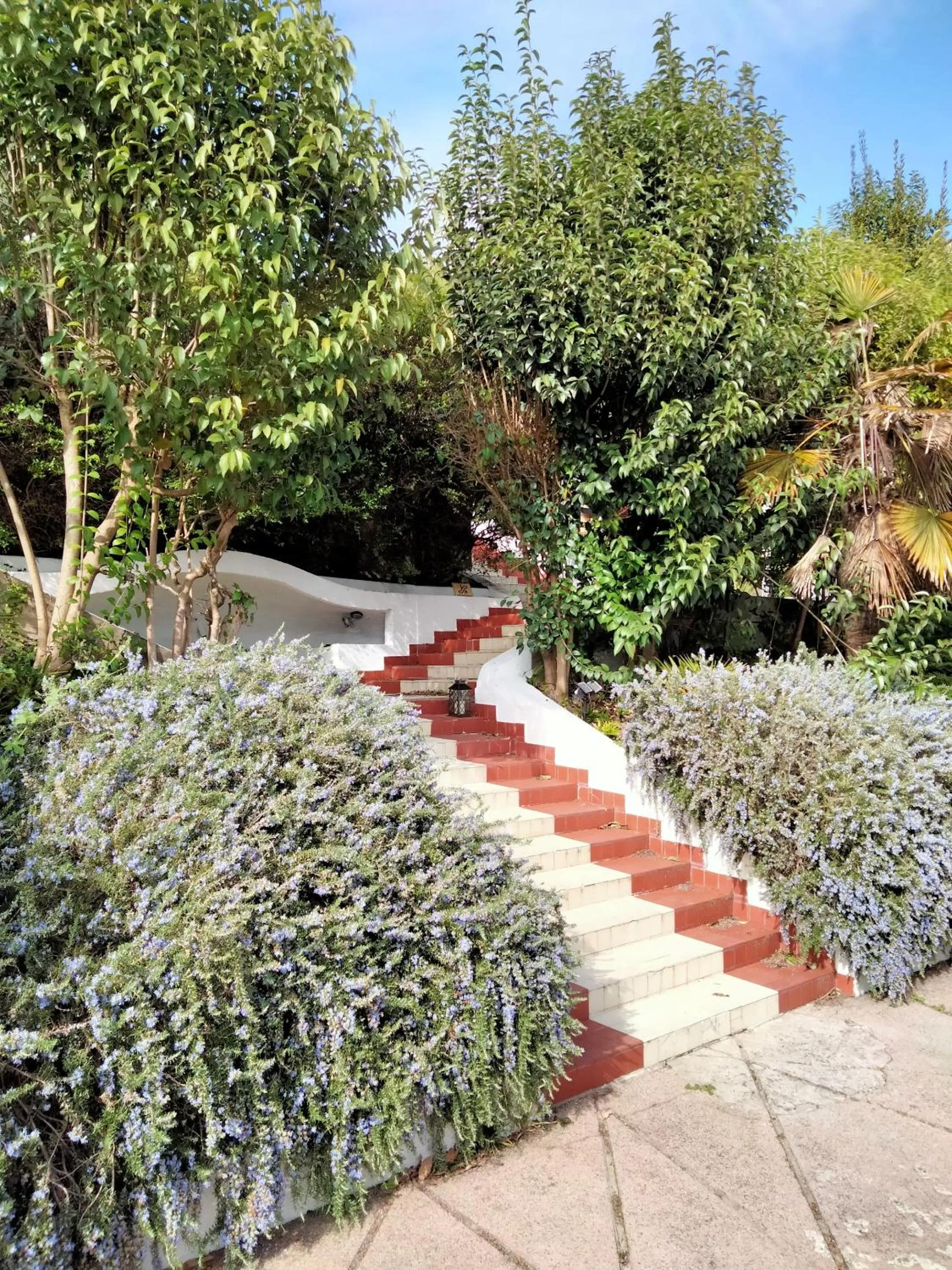 Garden in Quand la ville dort