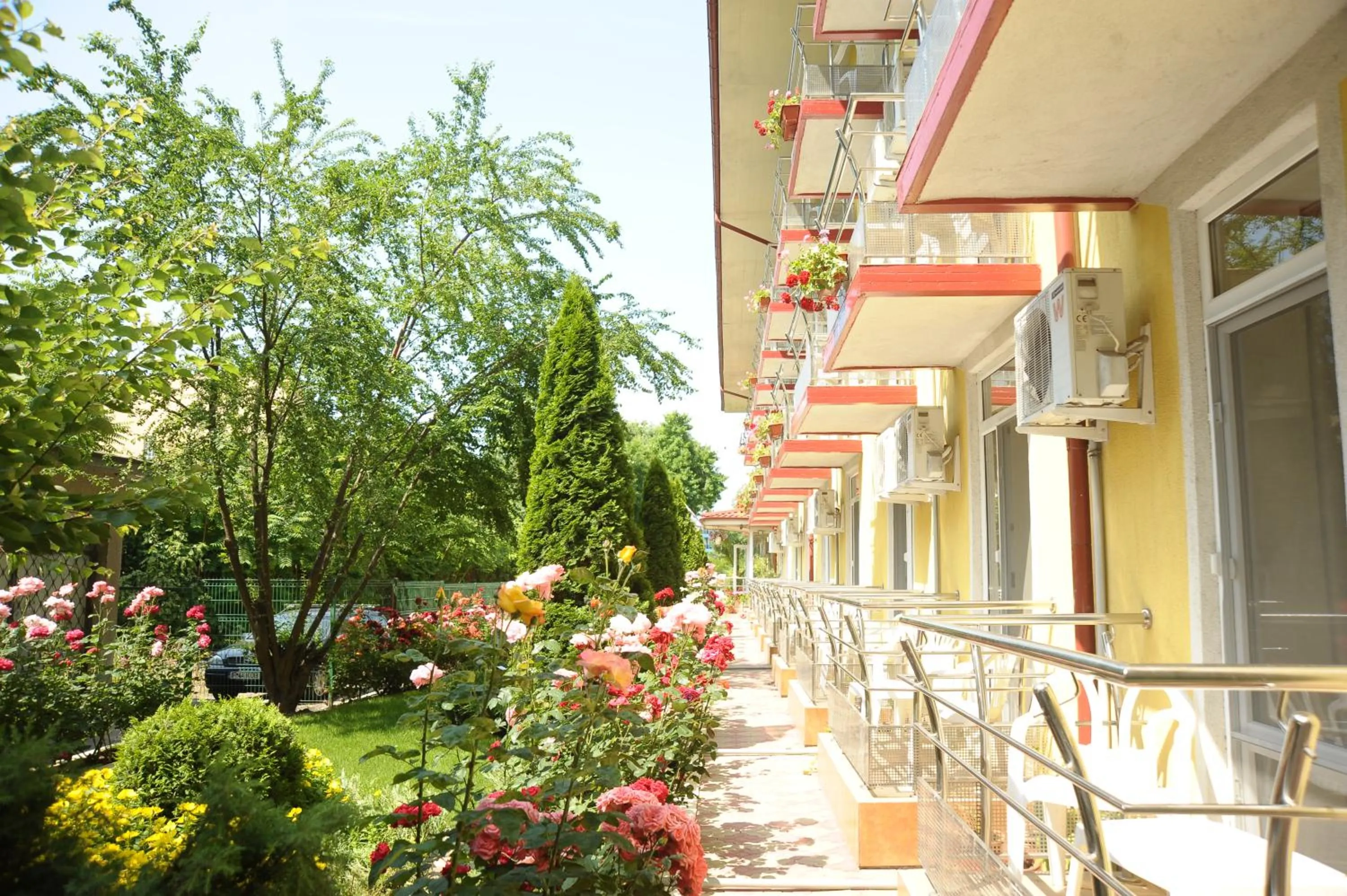 Facade/entrance in Hotel Valul Magic