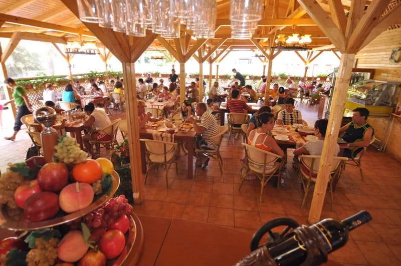 Restaurant/places to eat in Hotel Valul Magic