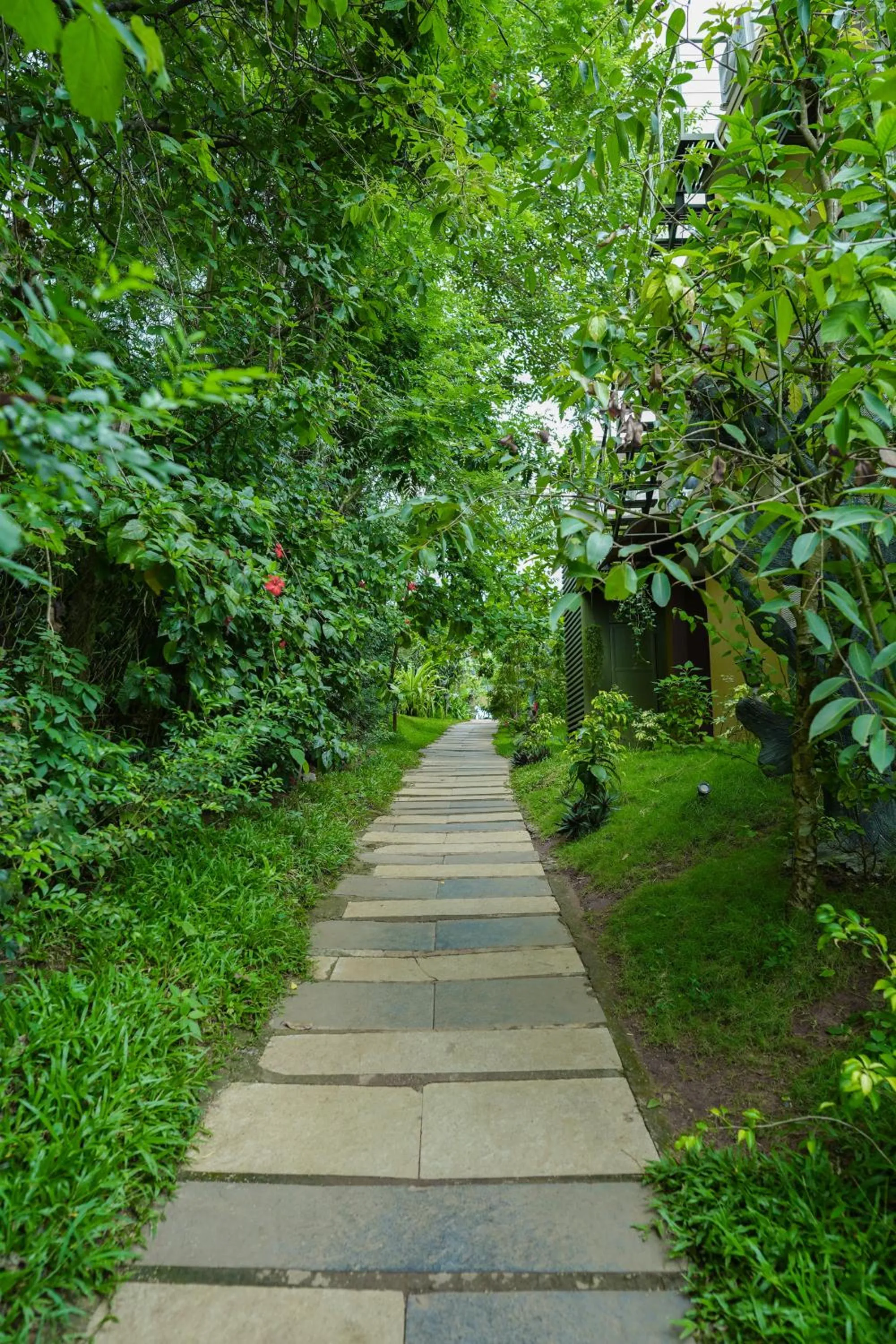 View (from property/room) in Kuruva Island Resort And Spa - By KABINI BREEZE