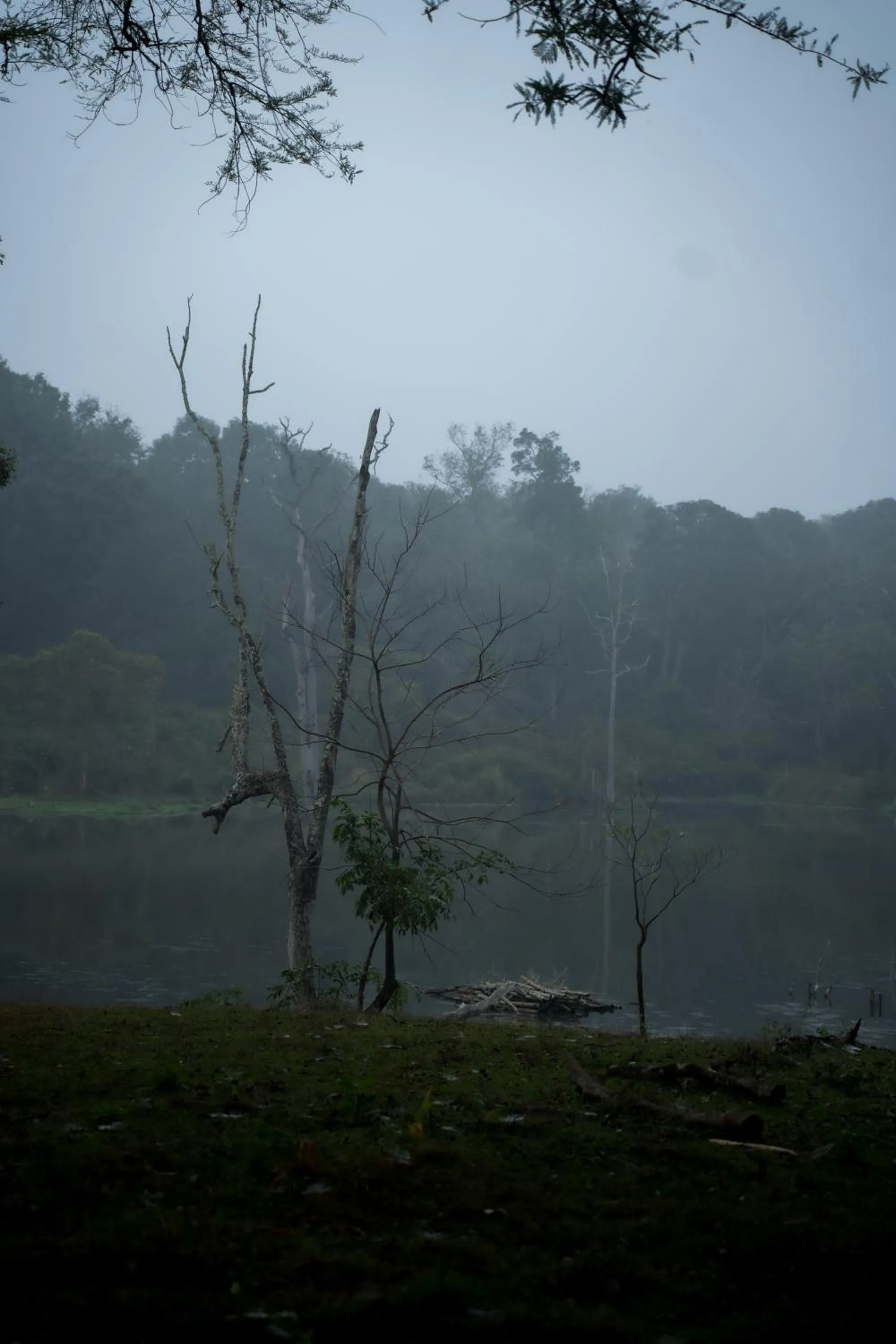 Activities in Kuruva Island Resort And Spa - By KABINI BREEZE