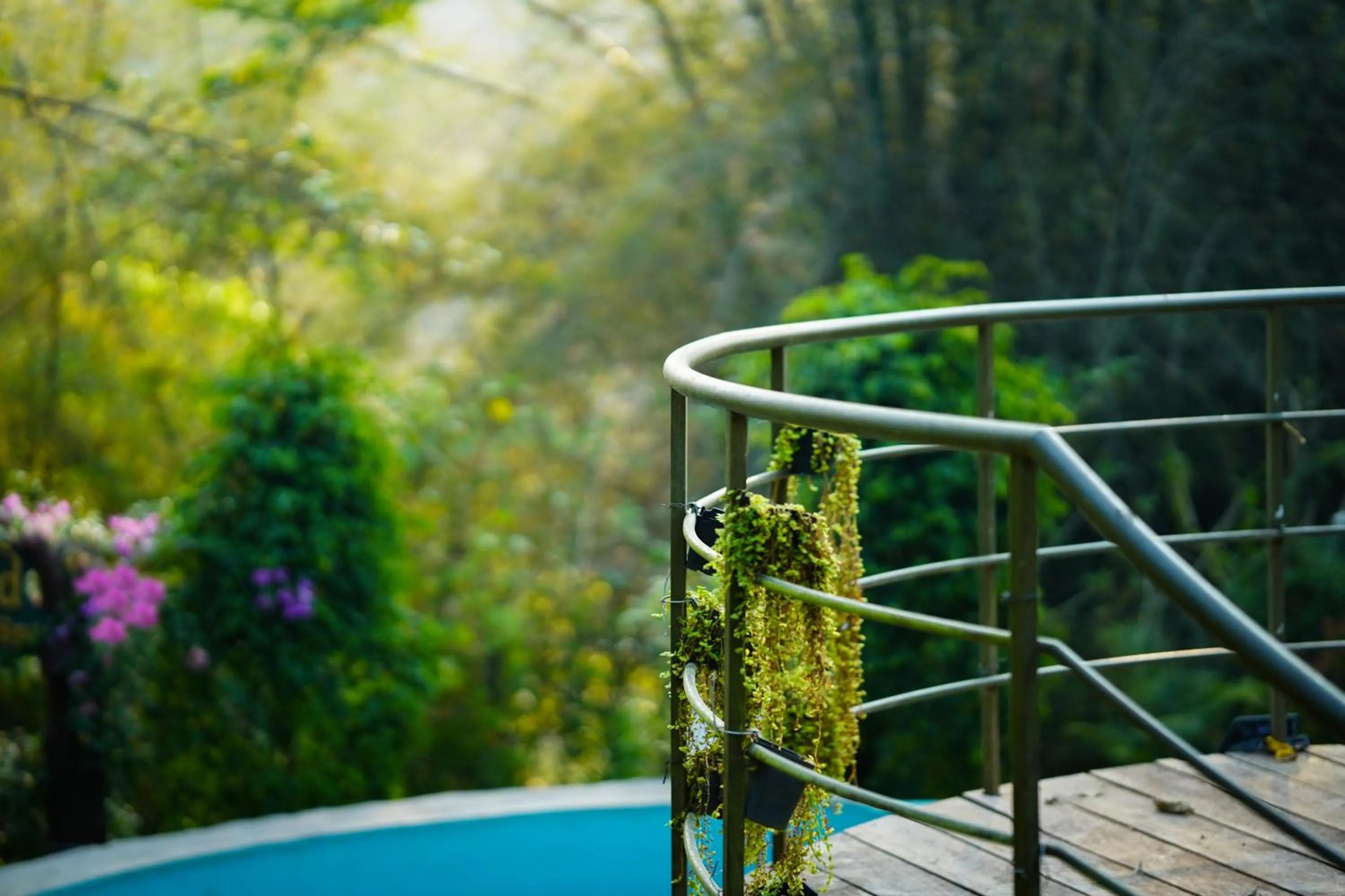 Pool view in Kuruva Island Resort And Spa - By KABINI BREEZE