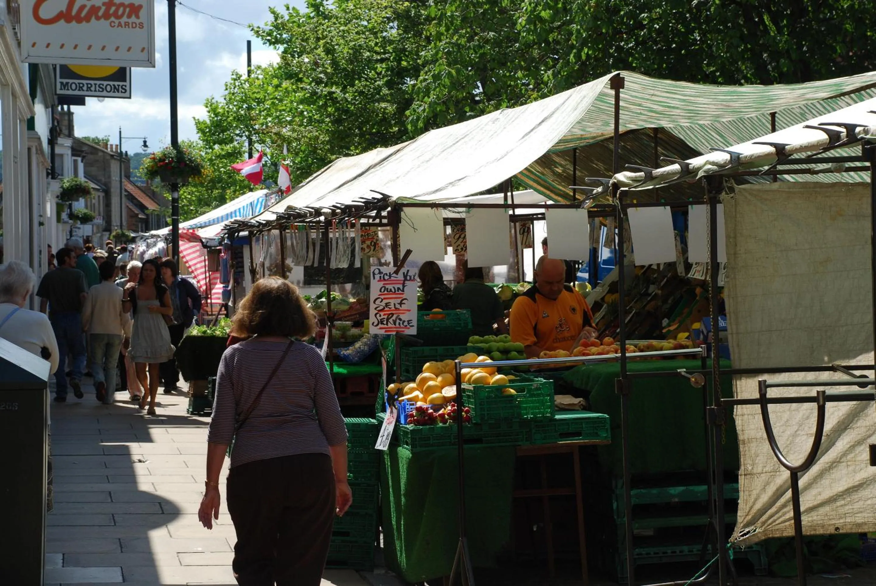 View (from property/room) in Saltburn Holidays Bluebell Cottage