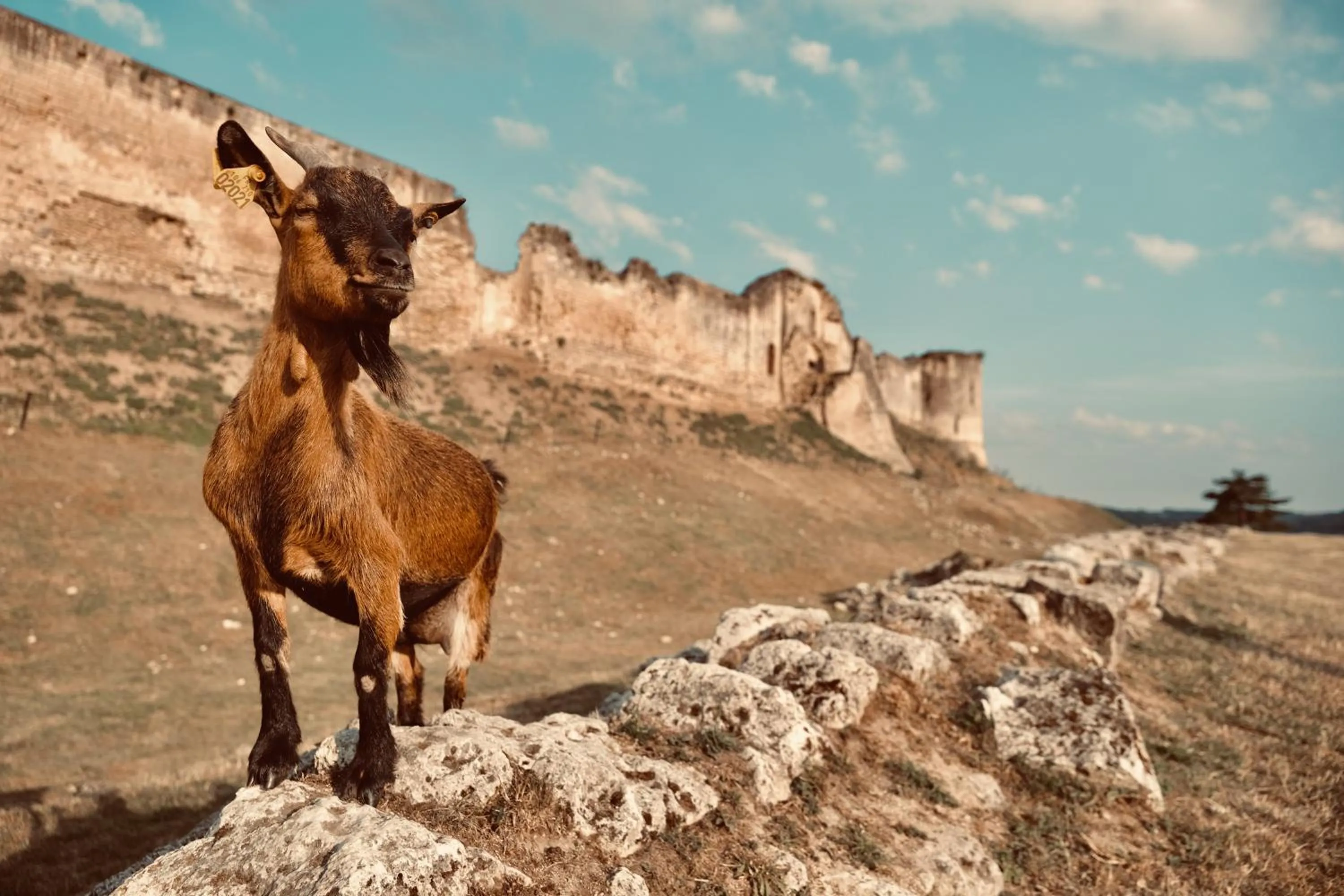 Property building in Chez Ric et Fer