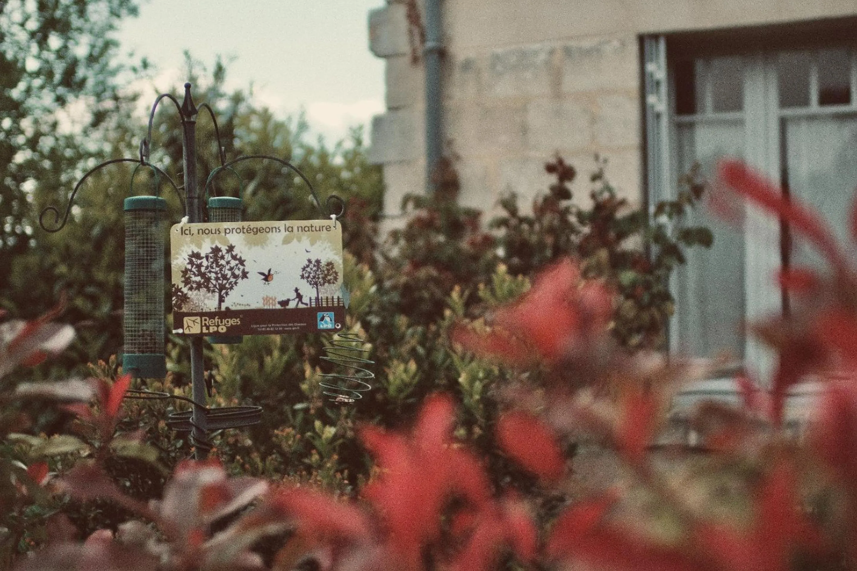 Garden in Chez Ric et Fer