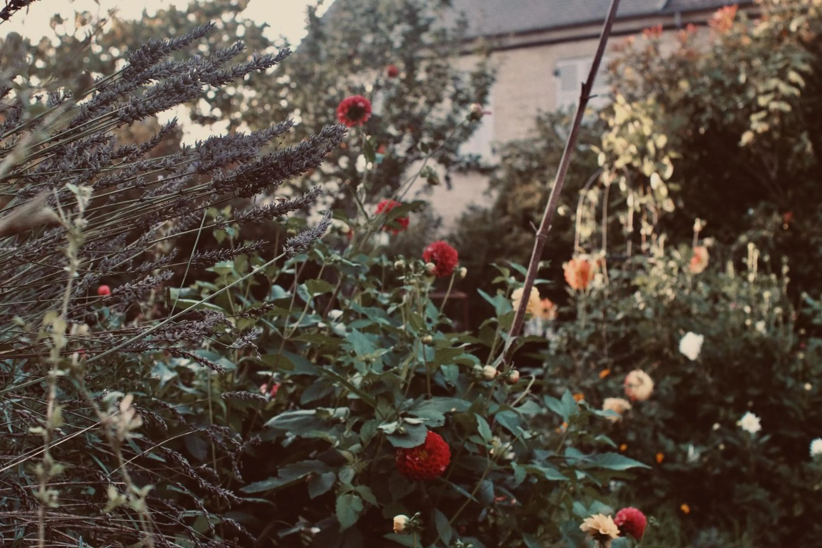 Natural landscape in Chez Ric et Fer